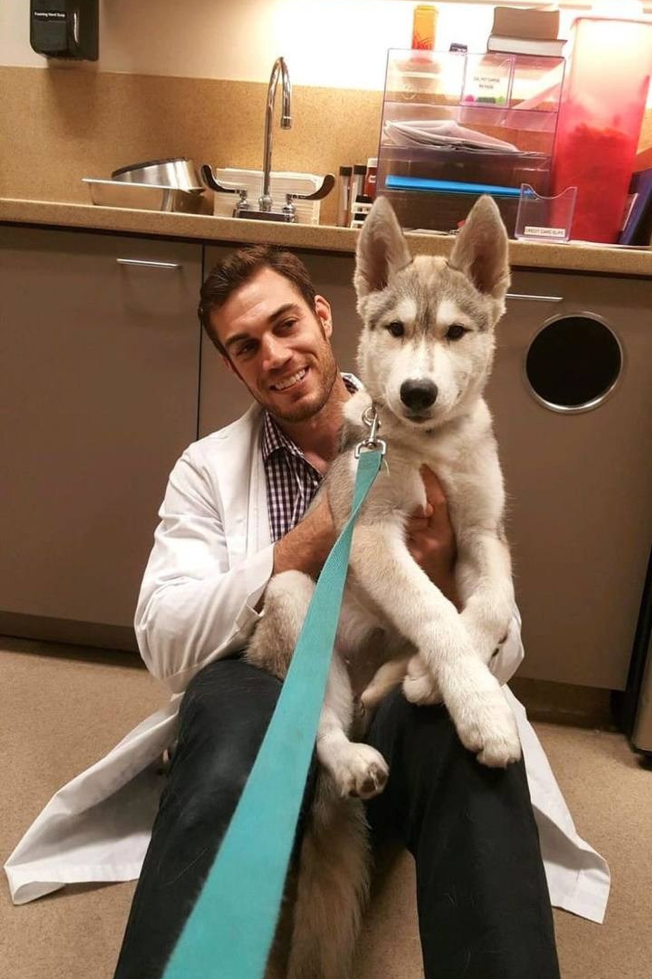 Статьи. Полнорационный корм для северных ездовых собак