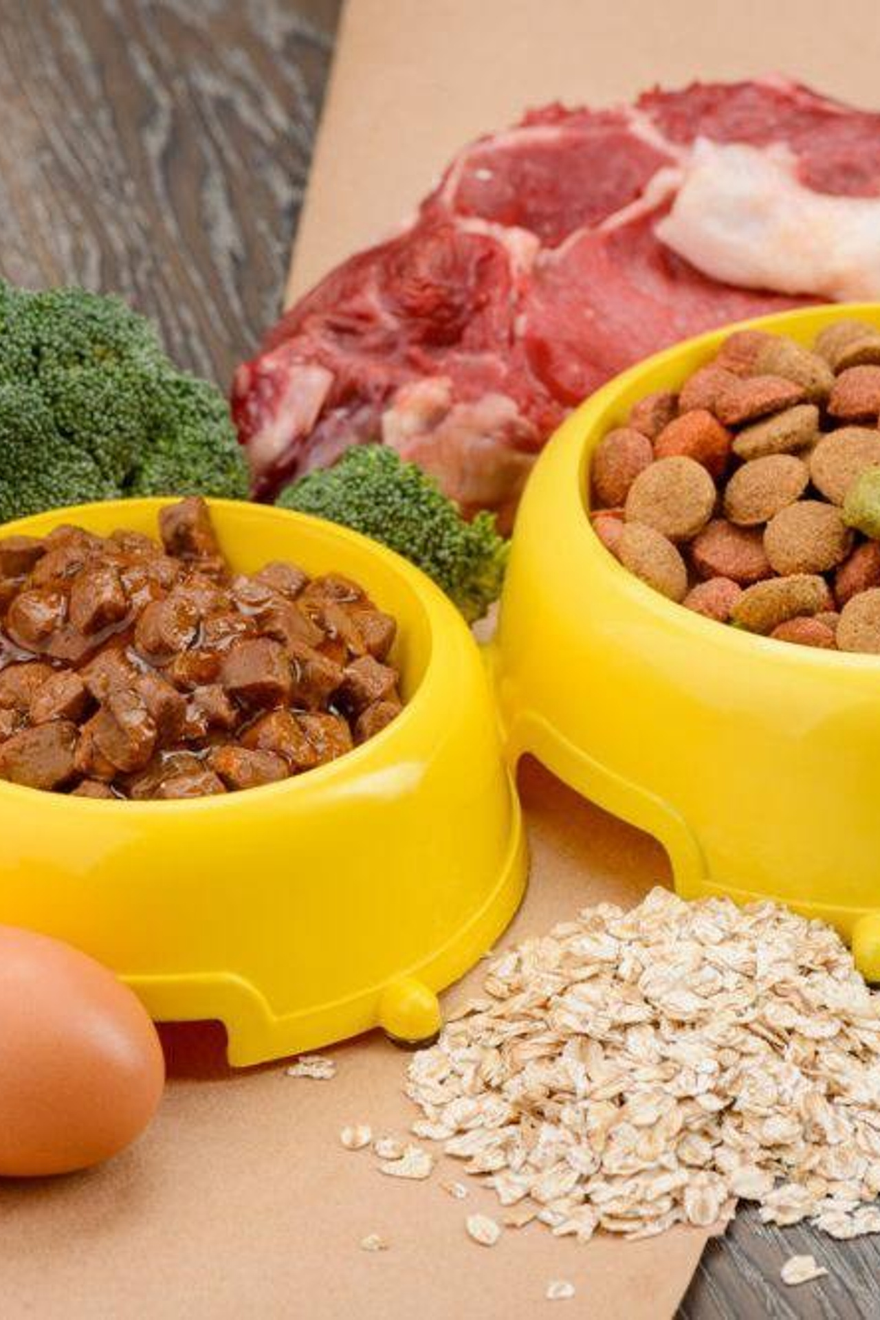 Статьи. Полнорационный корм для северных ездовых собак