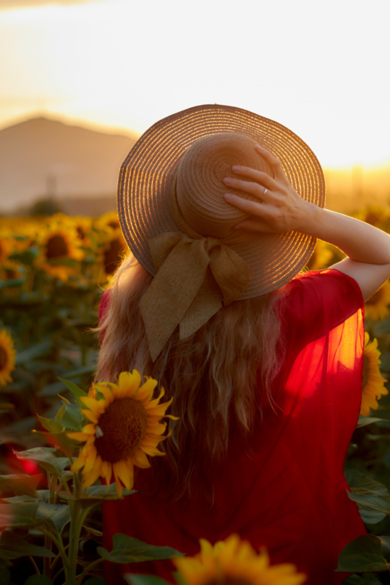 Подсолнухи