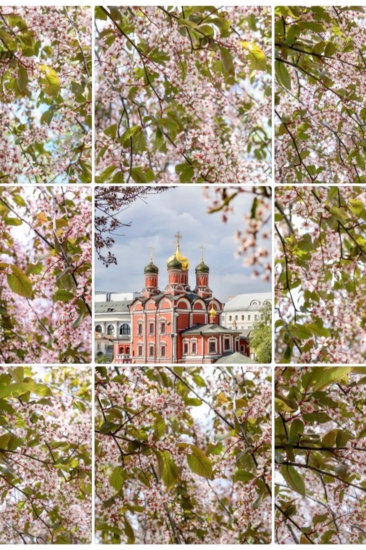 Блог. Фотограф в Москве — Рина Серёгина