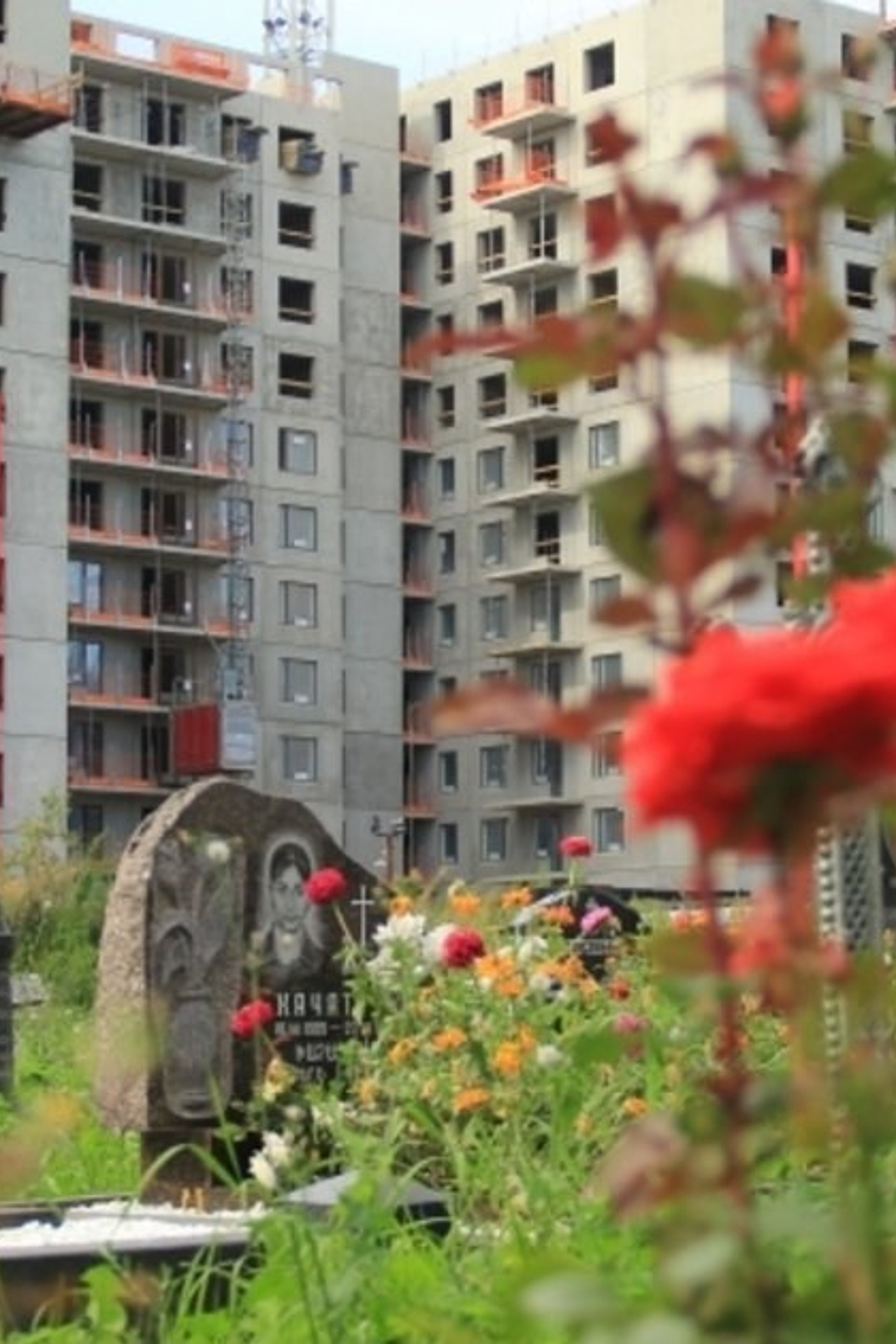 НОВОСТИ недвижимости Алтая. Банк земельных участков Алтая