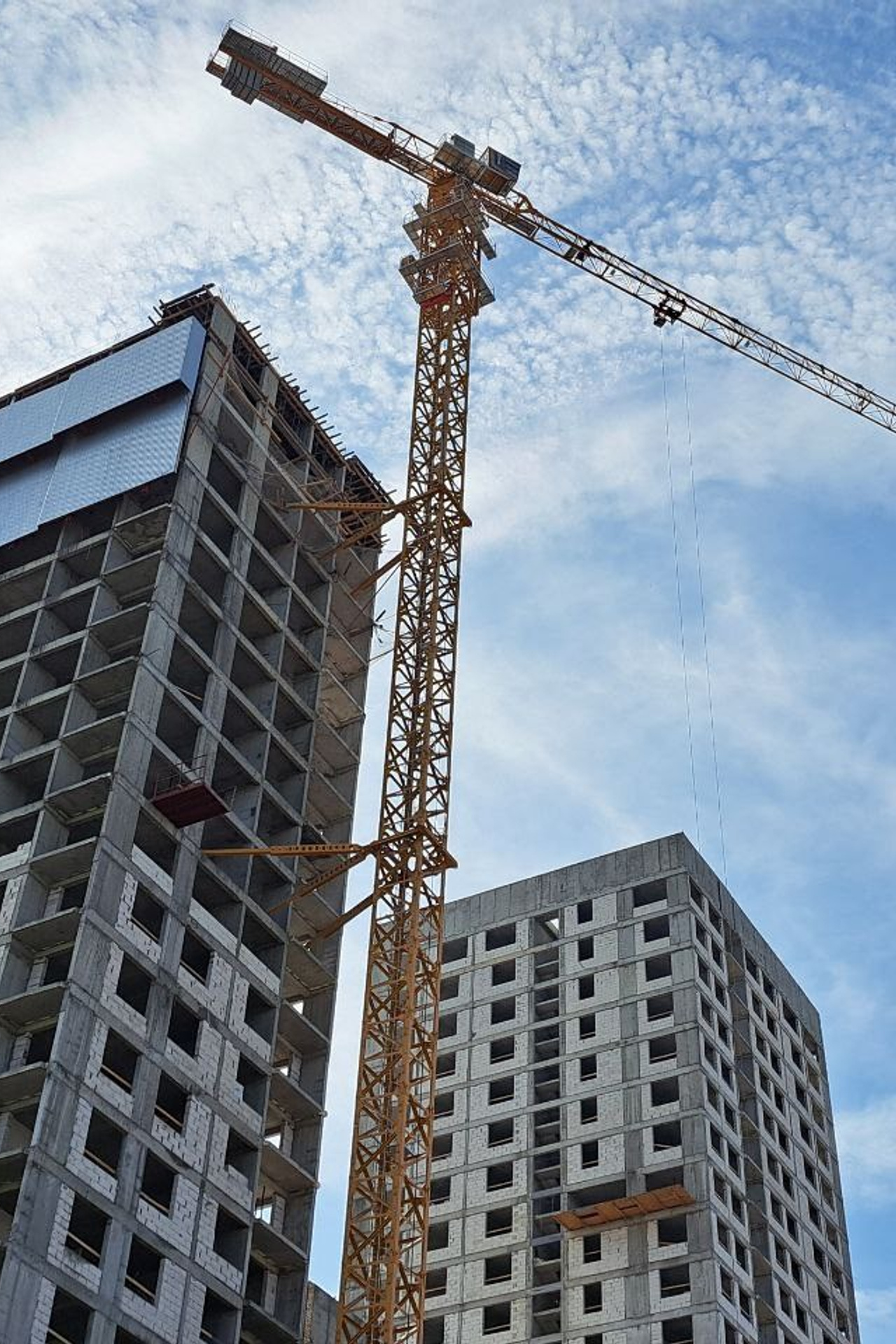 НОВОСТИ недвижимости Алтая. Банк земельных участков Алтая