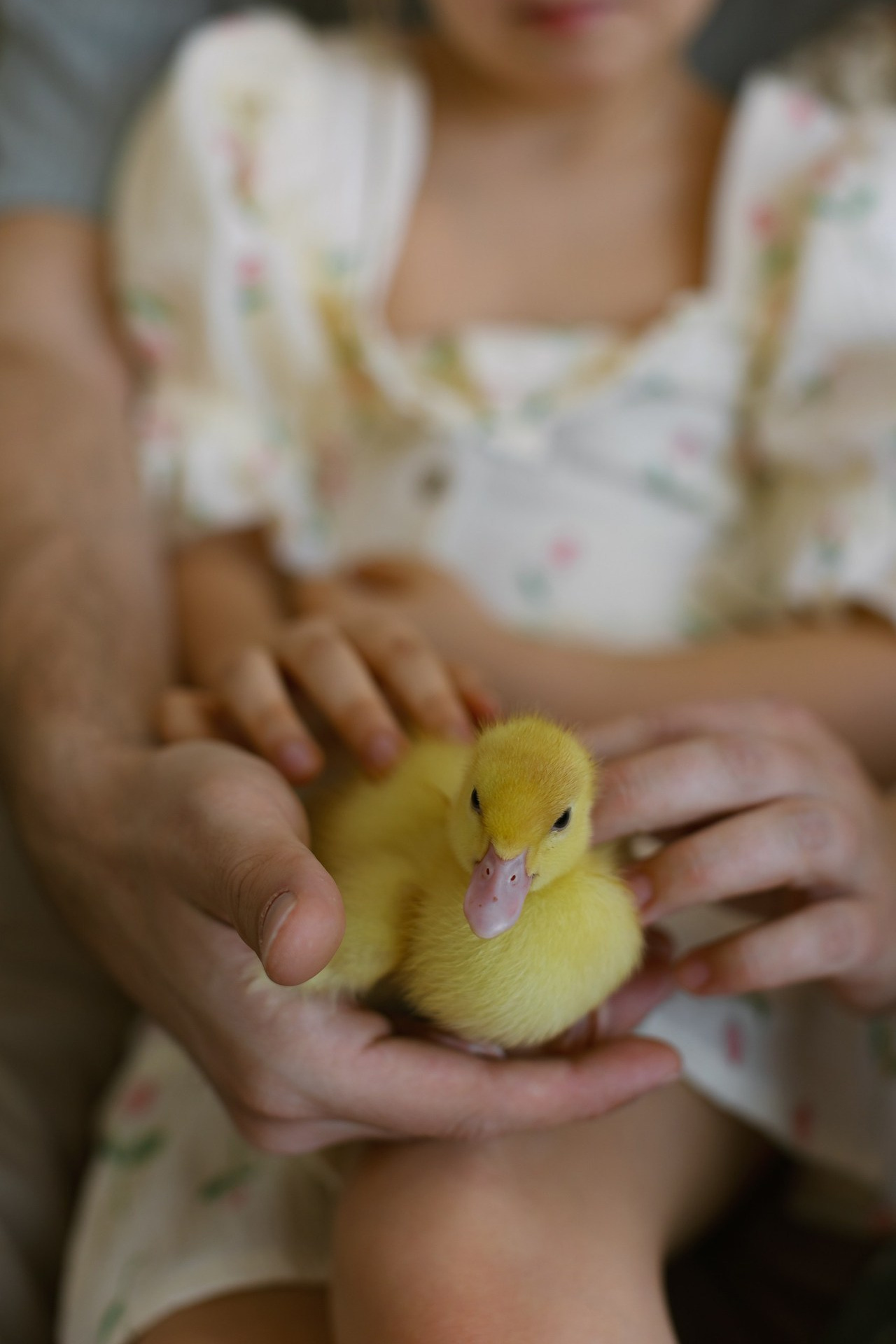 Отзывы. Свадебный и семейный фотограф в Самаре Посконнова Анна