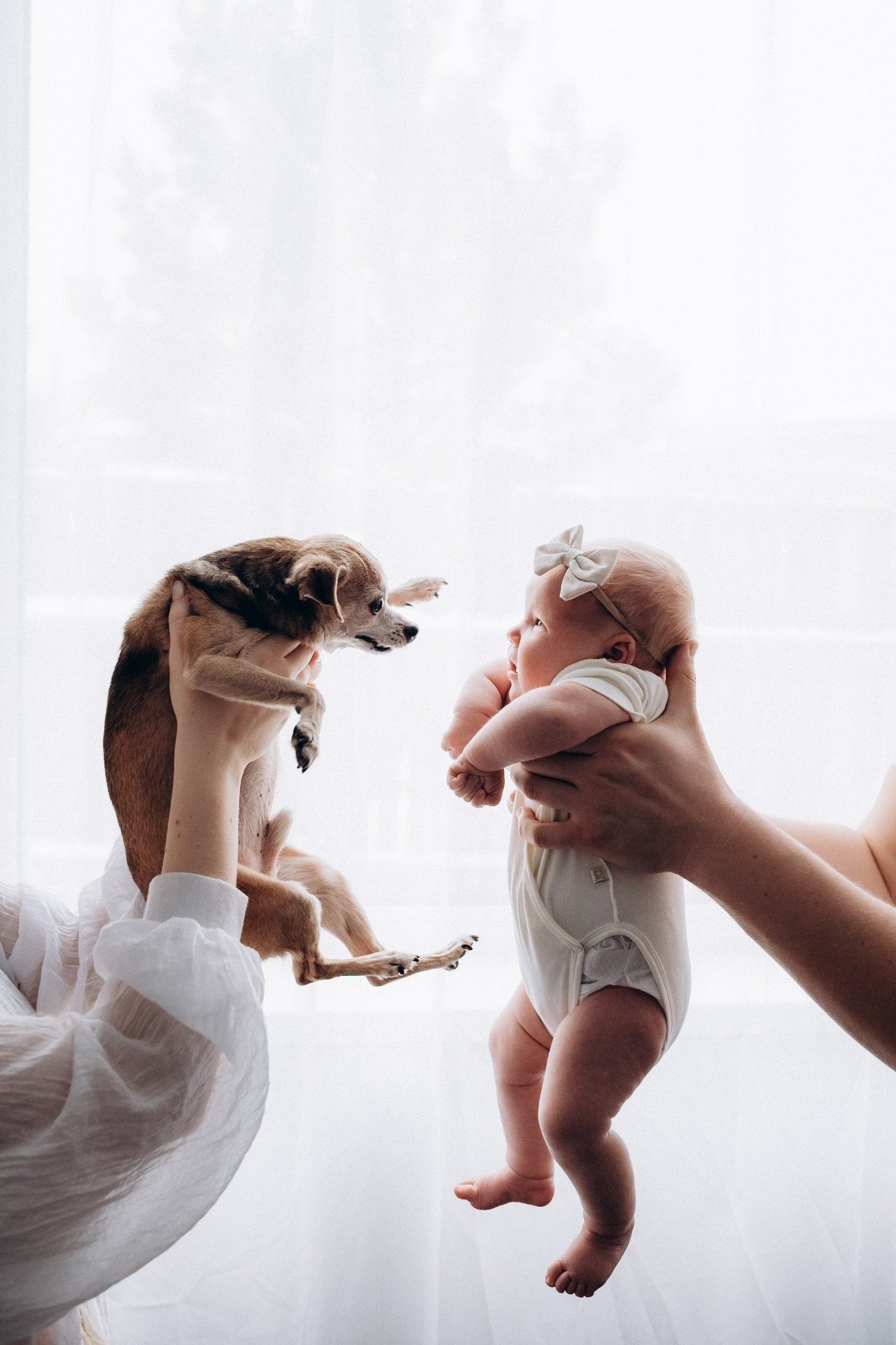 Отзывы. Фотограф новорождённых Абакан Марина Дейнюк