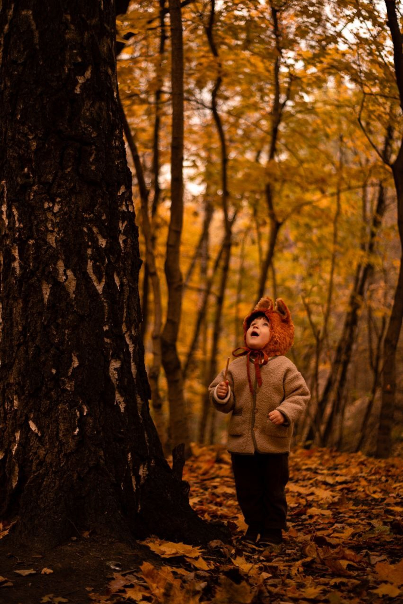 Фотопрогулка