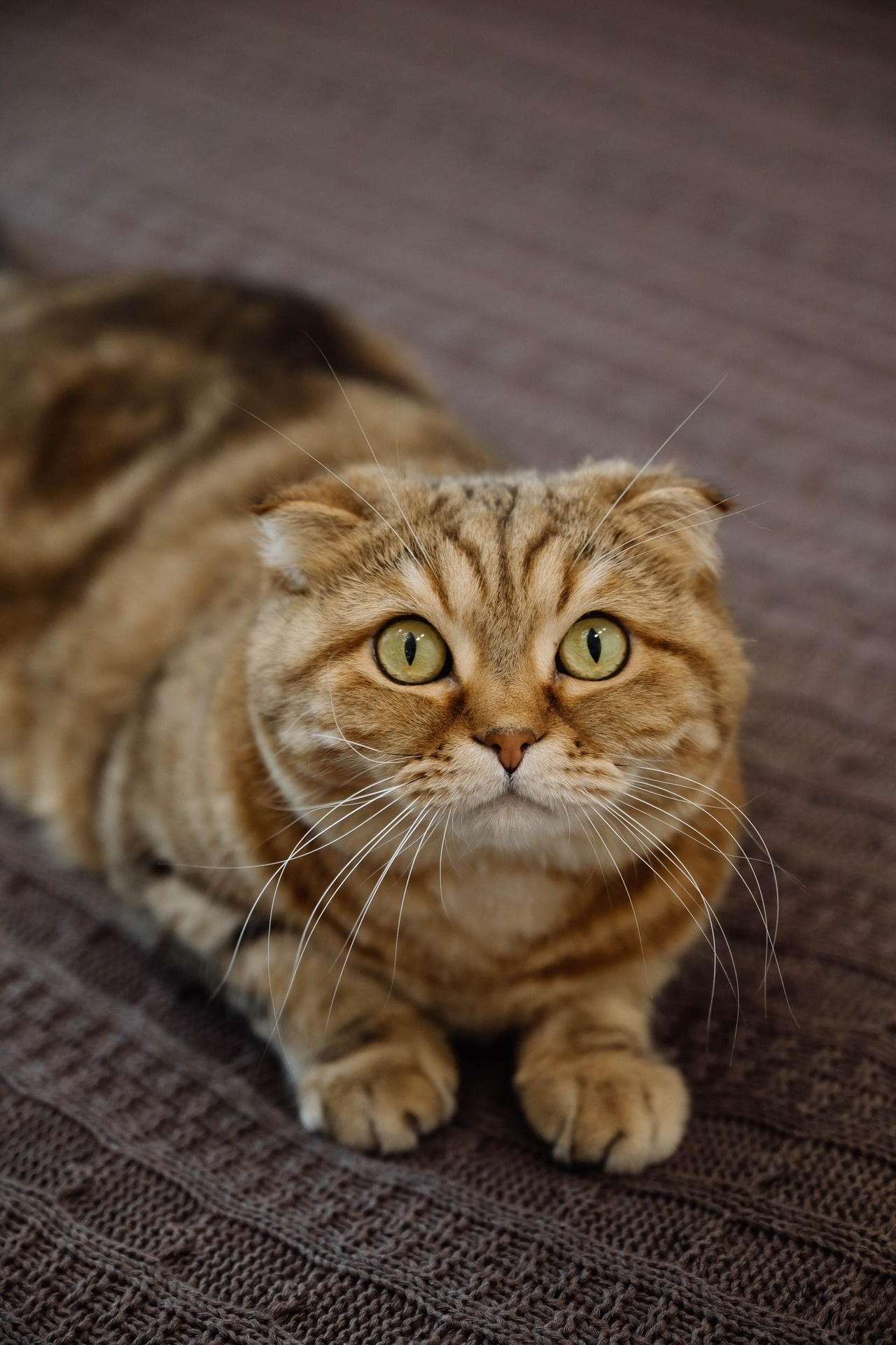 Отзывы. Свадебный фотограф в Красноярске Маргарита Синицкая