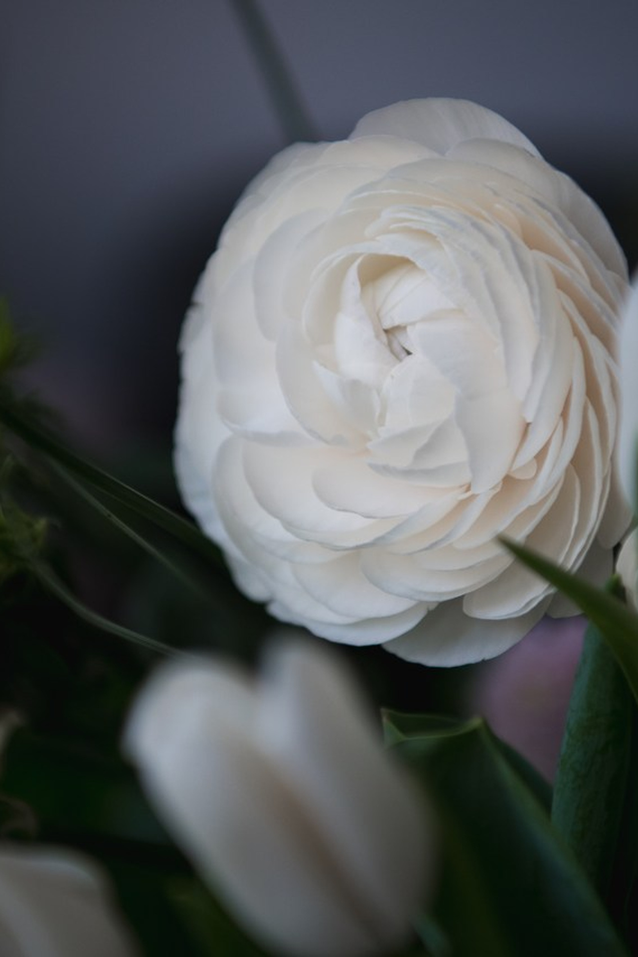 Отзывы. Фомина Елена Свадебный и семейный фотограф