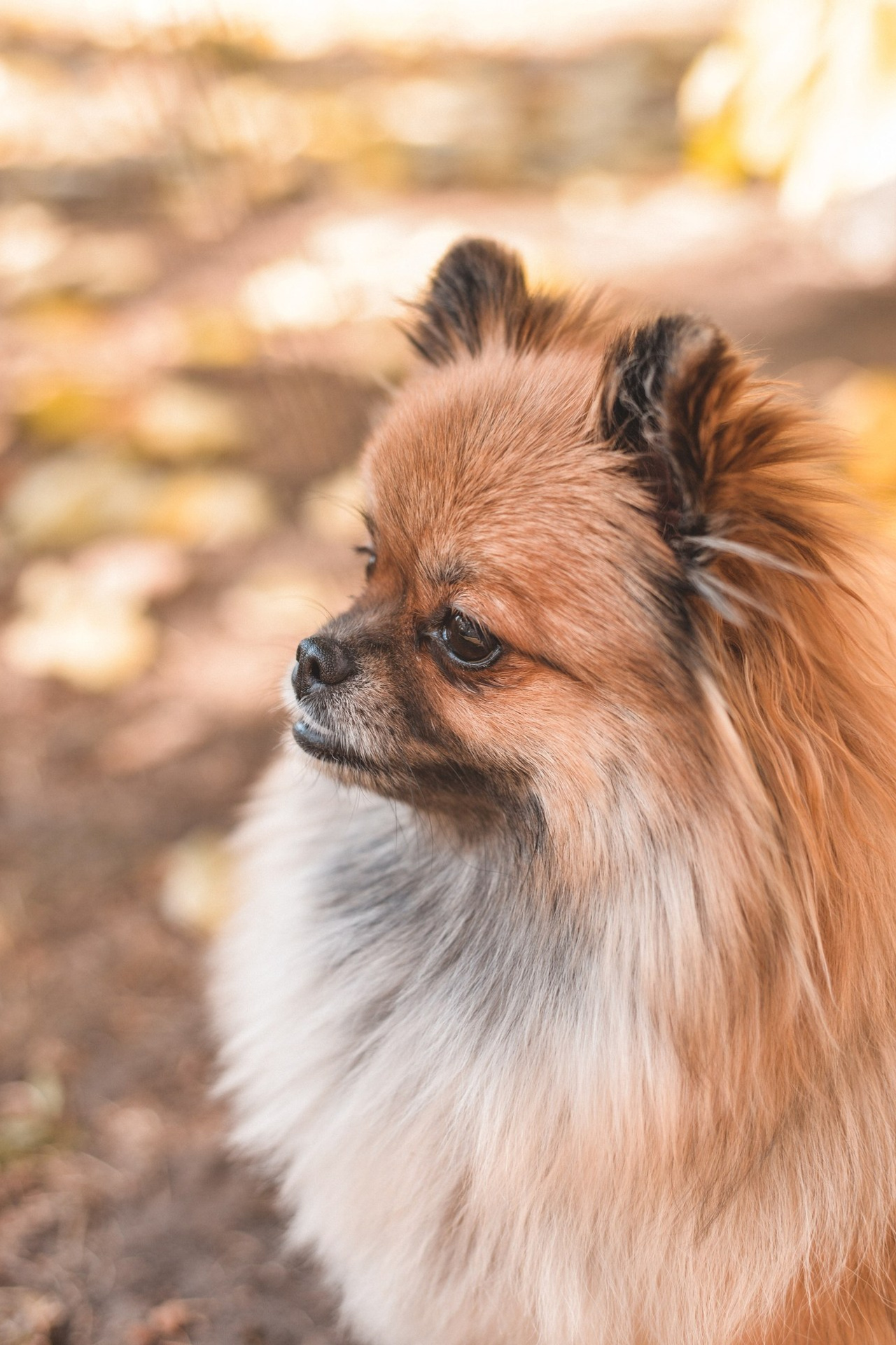 Отзывы. Семейный и свадебный фотограф Галина Абакумова, фотосессии в Белгороде