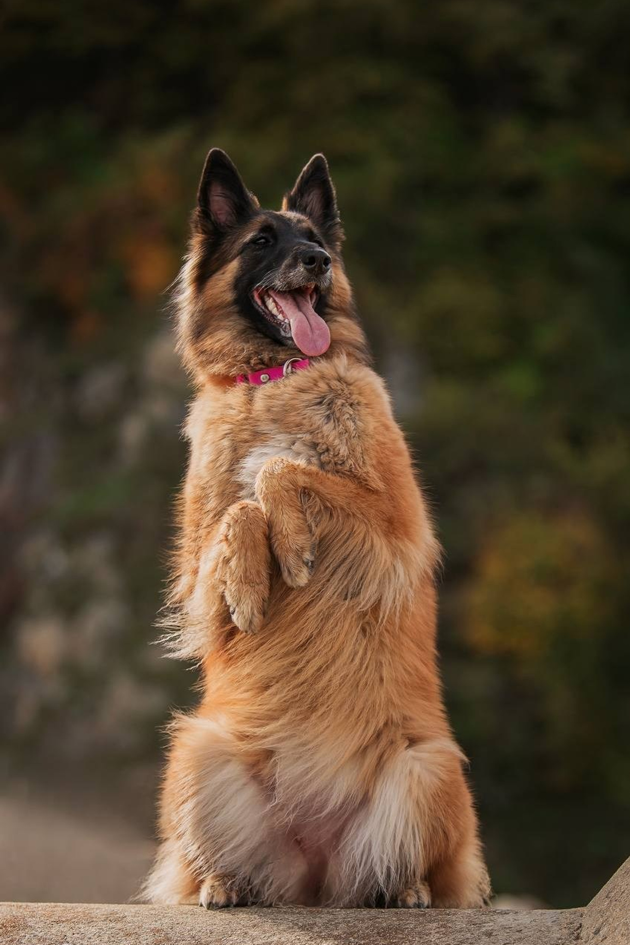 Фото Прогулки