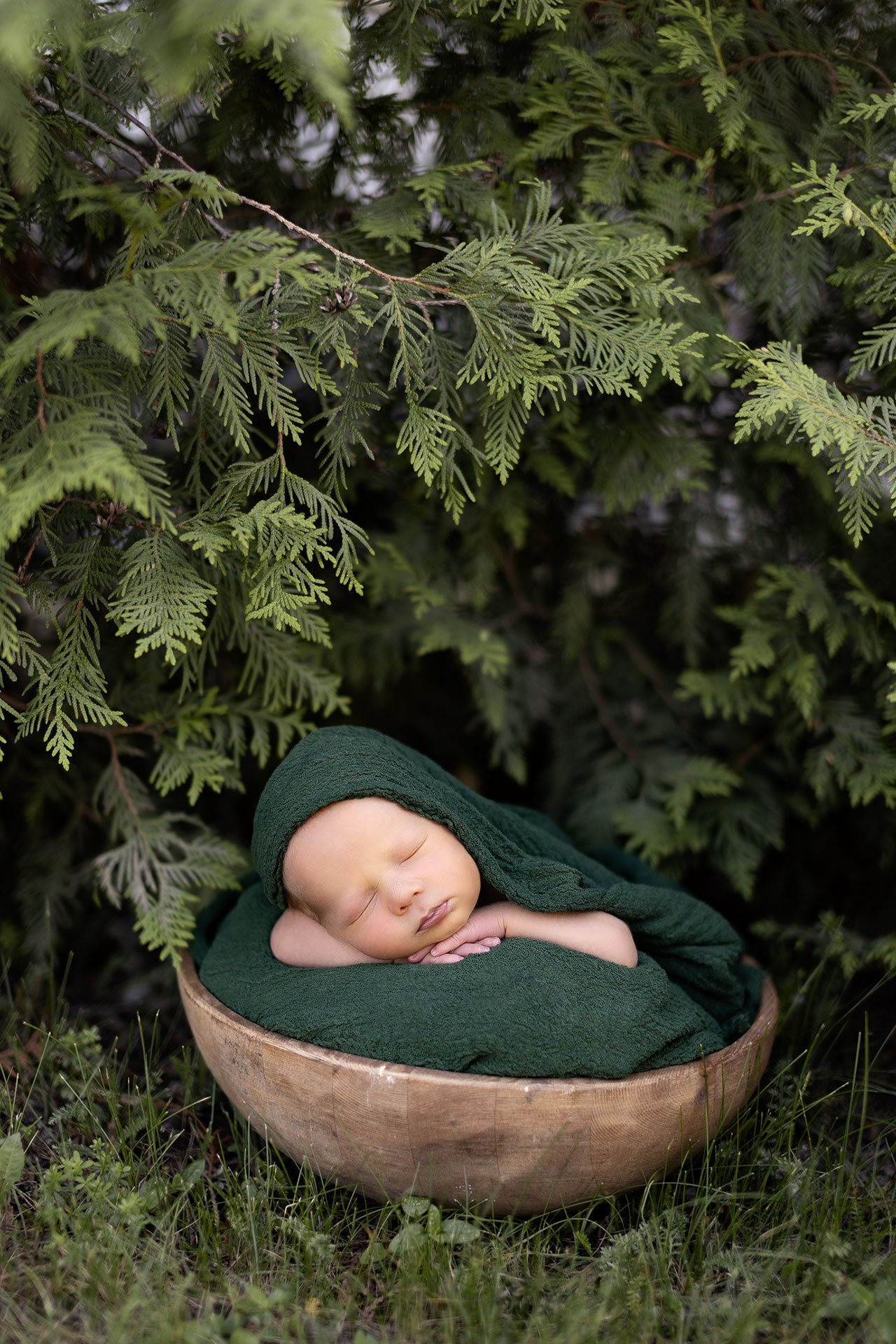 Отзывы. Семейный и детский фотограф-новорожденных Ярославль и Москва