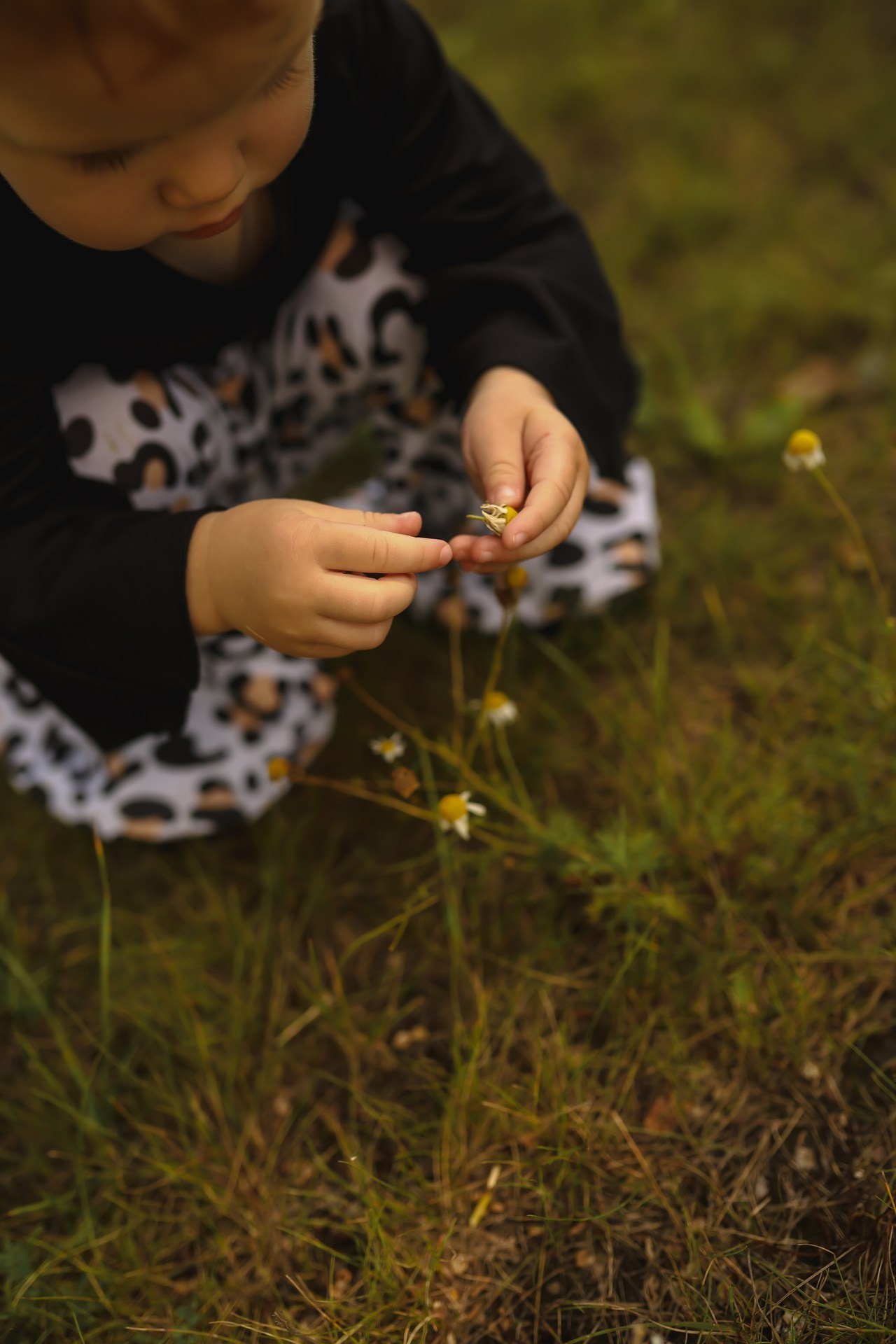 Отзывы. Инна Вильт| лайфстайл фотограф из Новосибирска