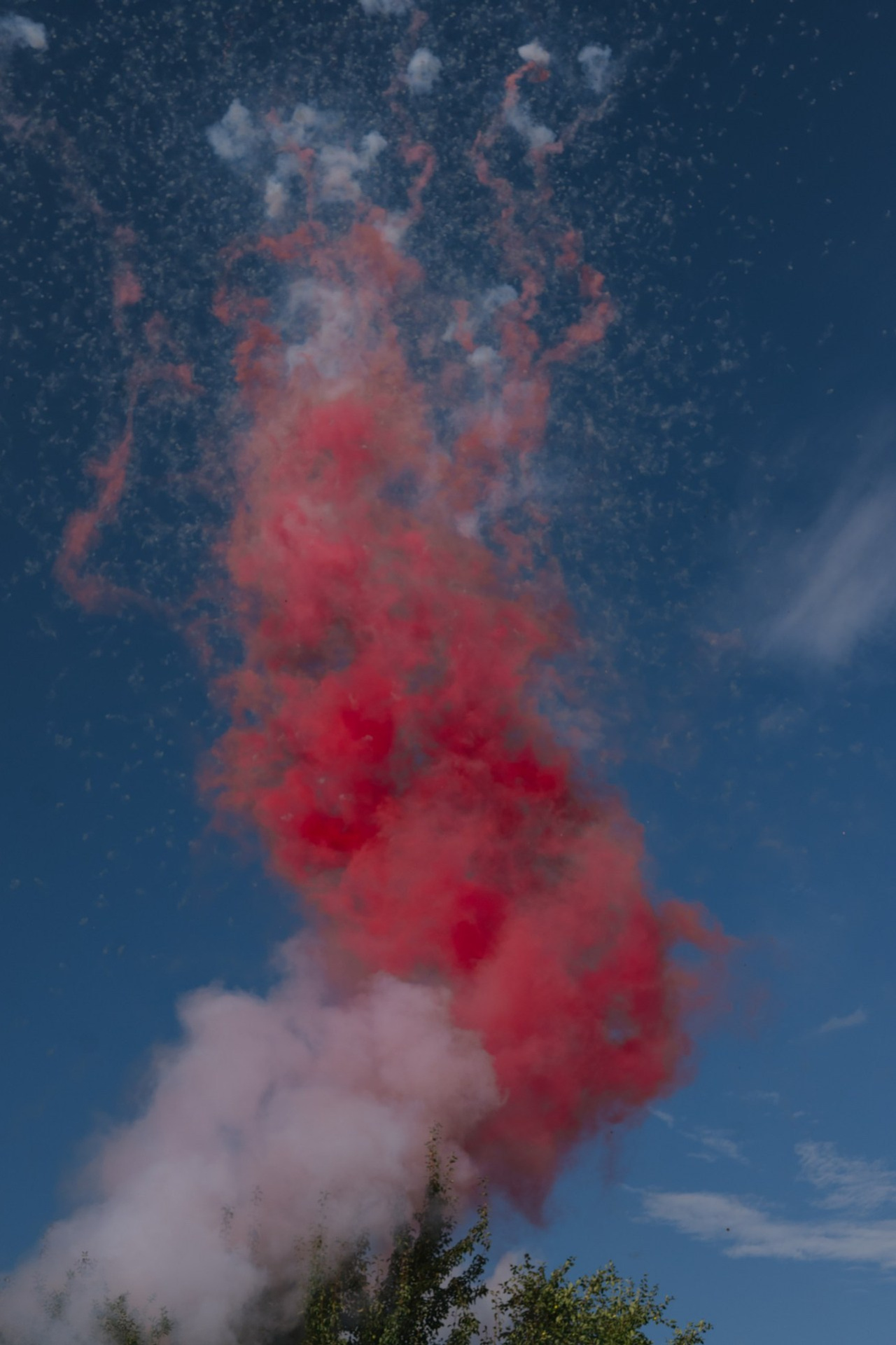 Отзывы. Свадебный фотограф Уфа Дарья Насырова