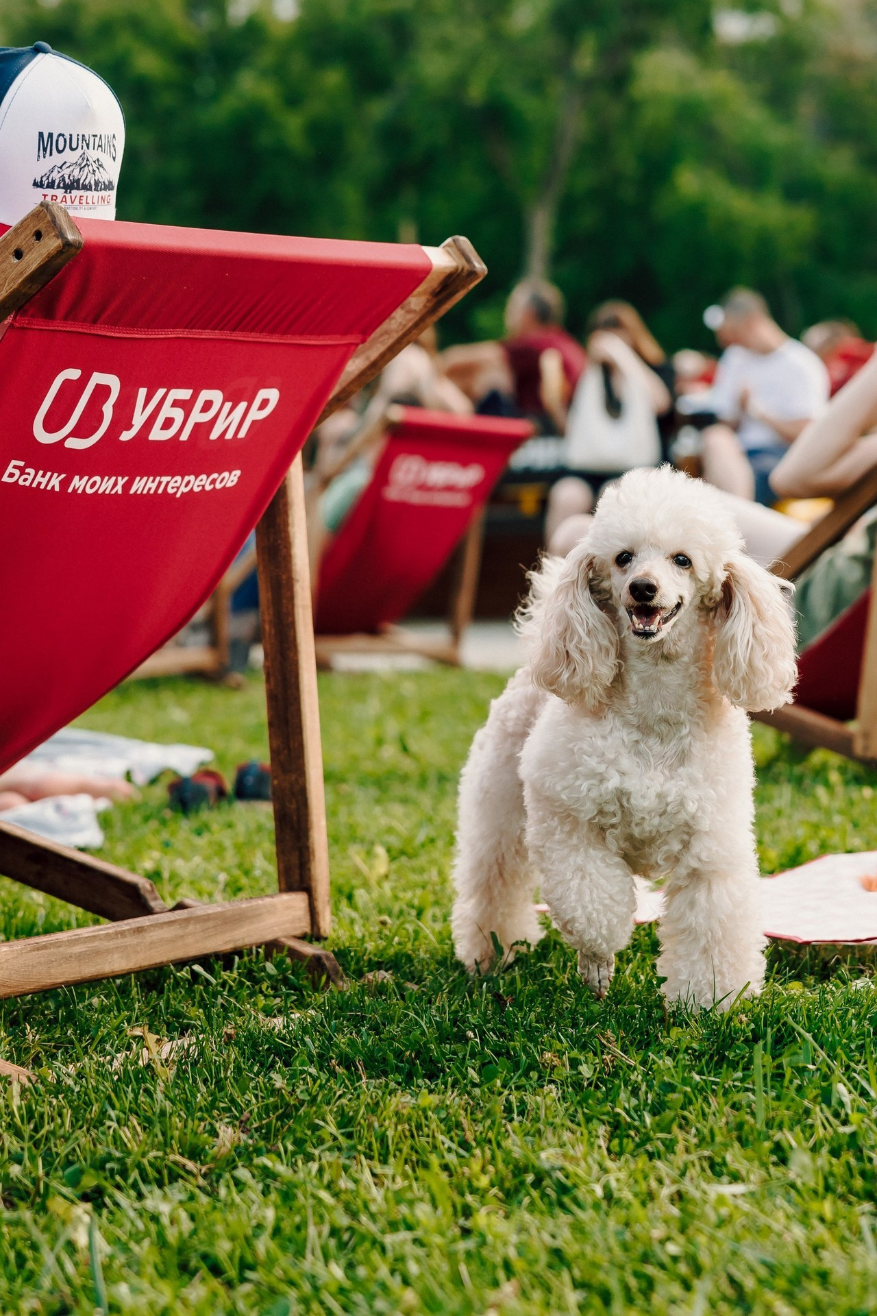 Отзывы. Лёшка Варзегов — фотограф
