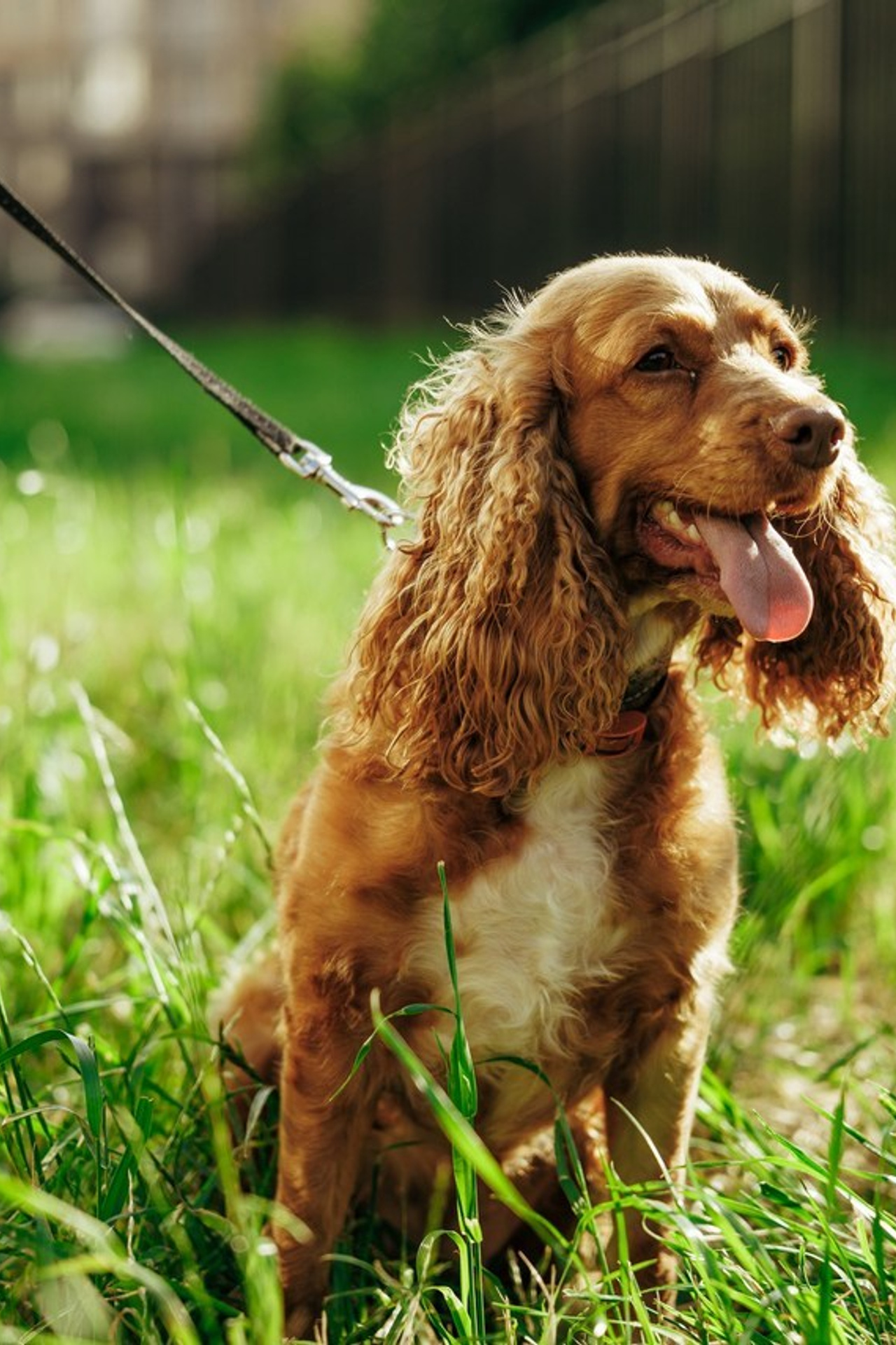 Отзывы. Профессиональный фотограф в Санкт-Петербурге Александр Волосенцев