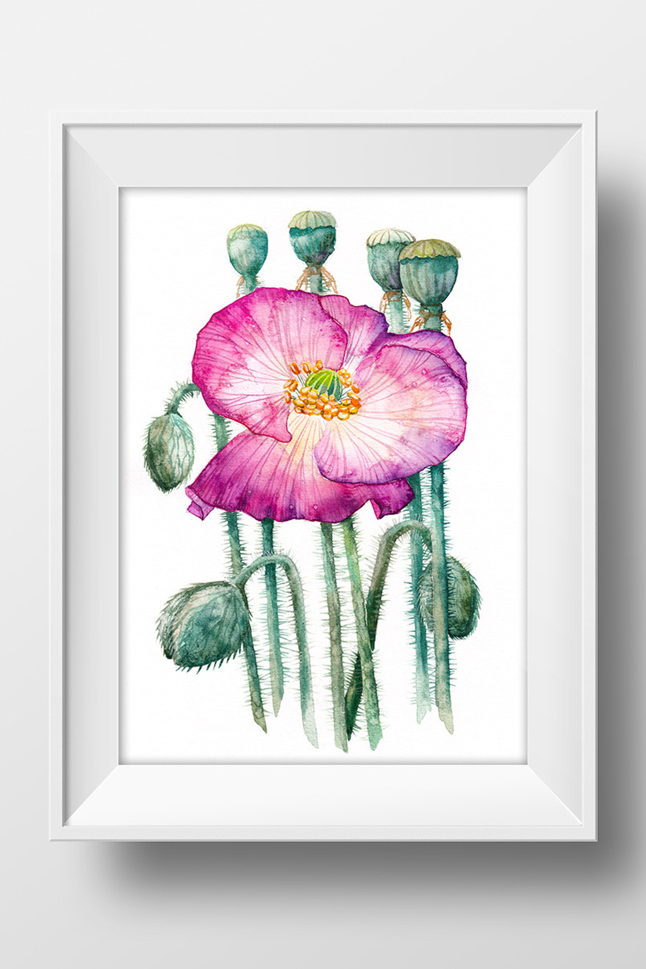 Фиолетовый мак