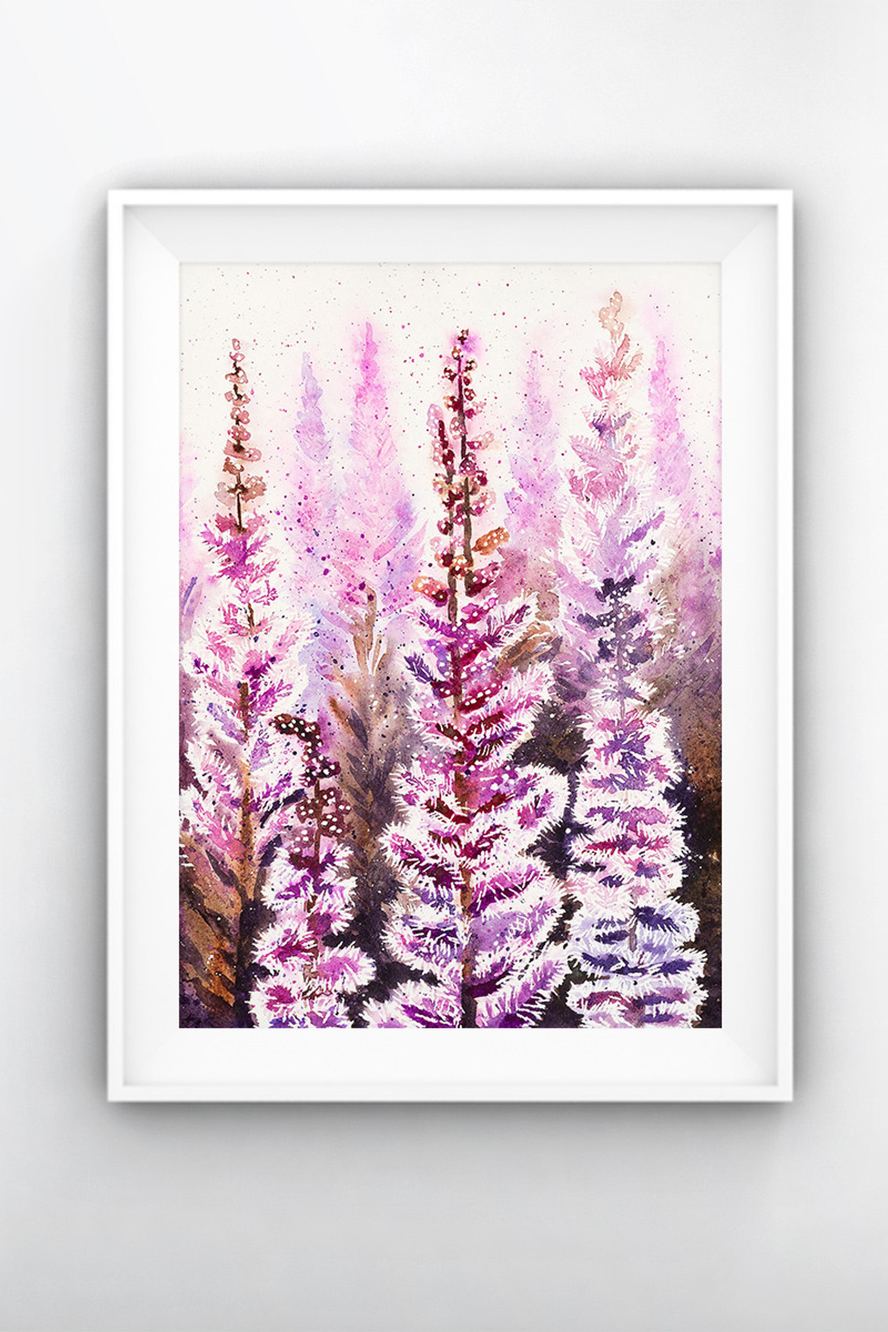 Астильба сиреневая