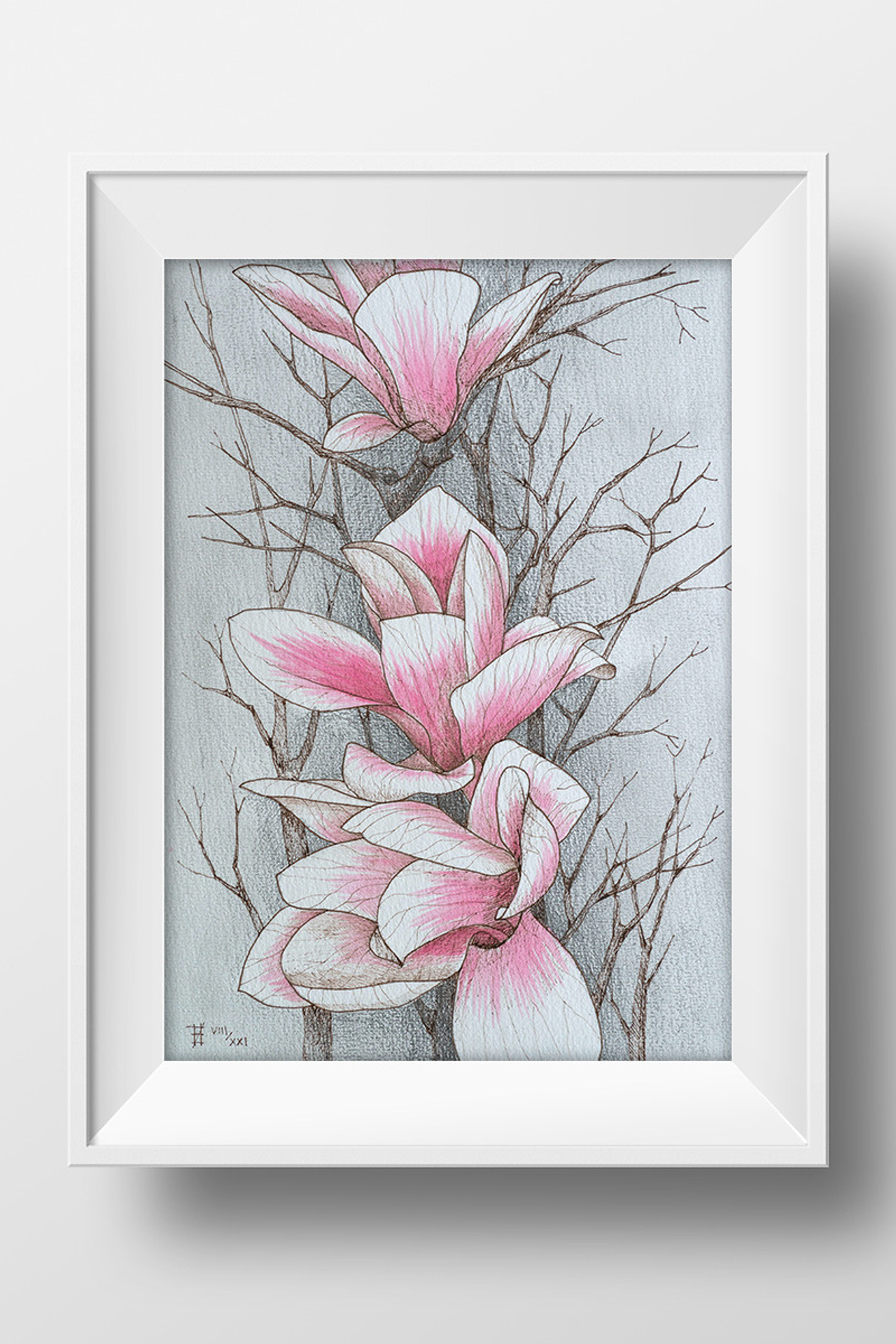 Розовая магнолия