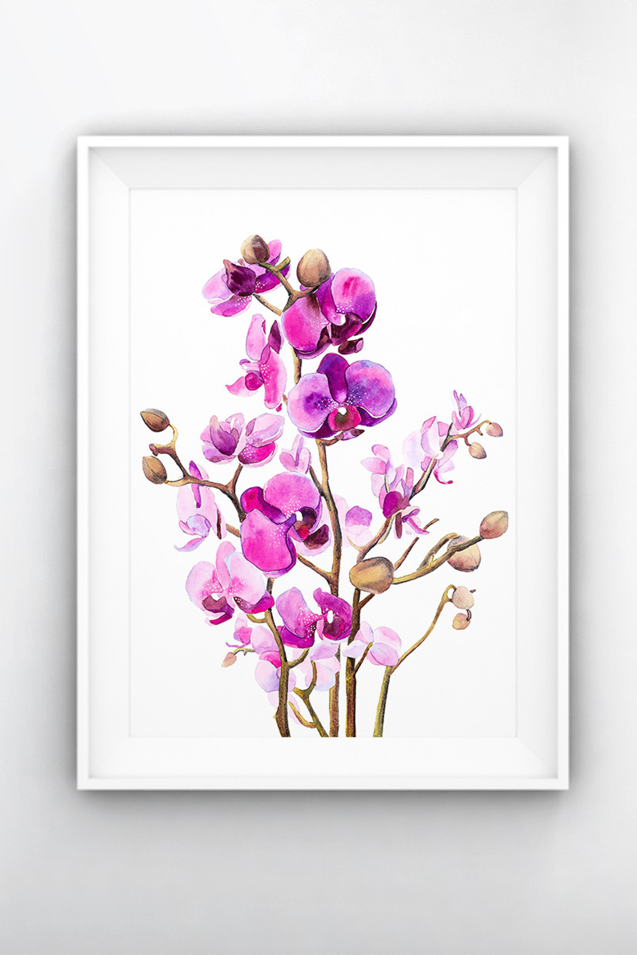 Фиолетовая орхидея