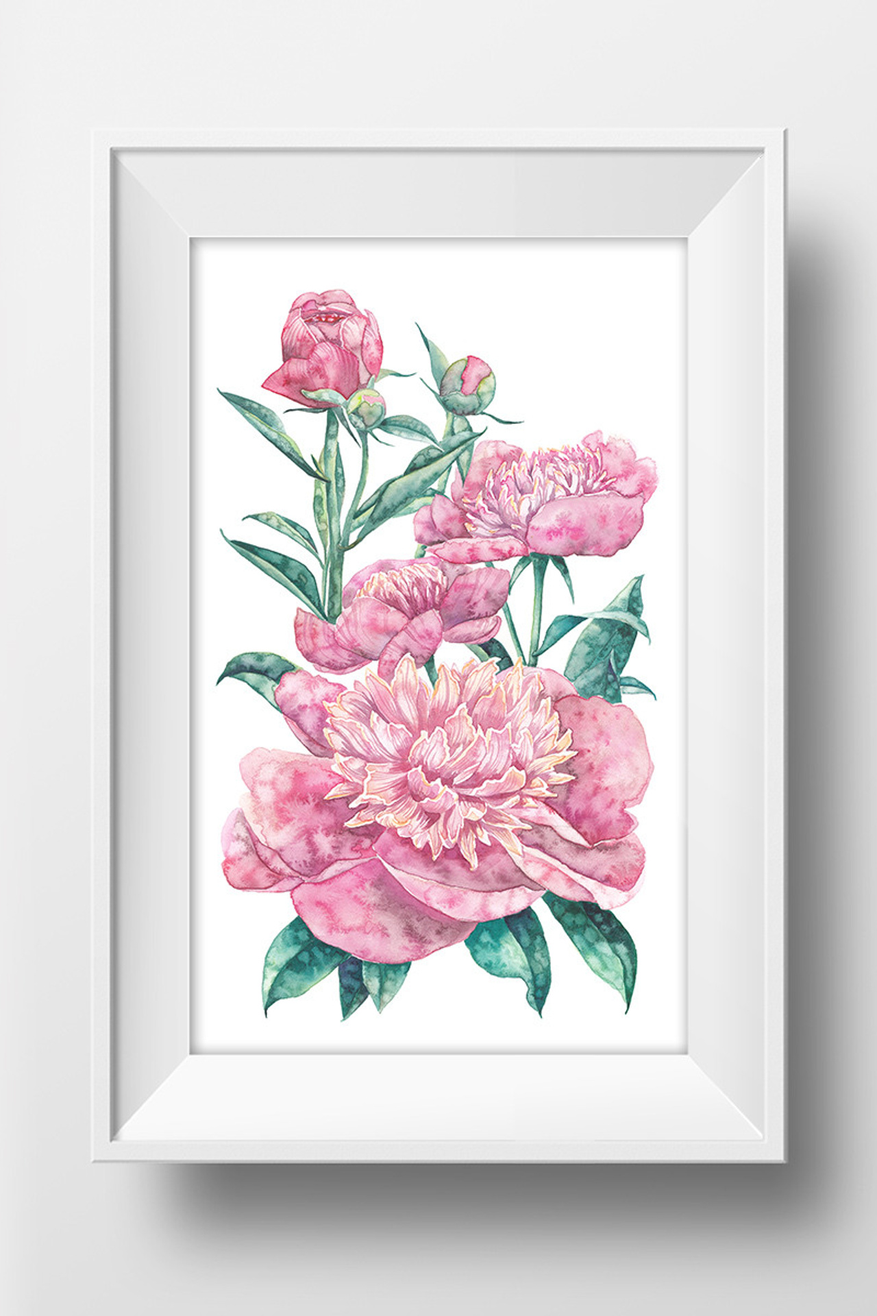 Розовые пионы