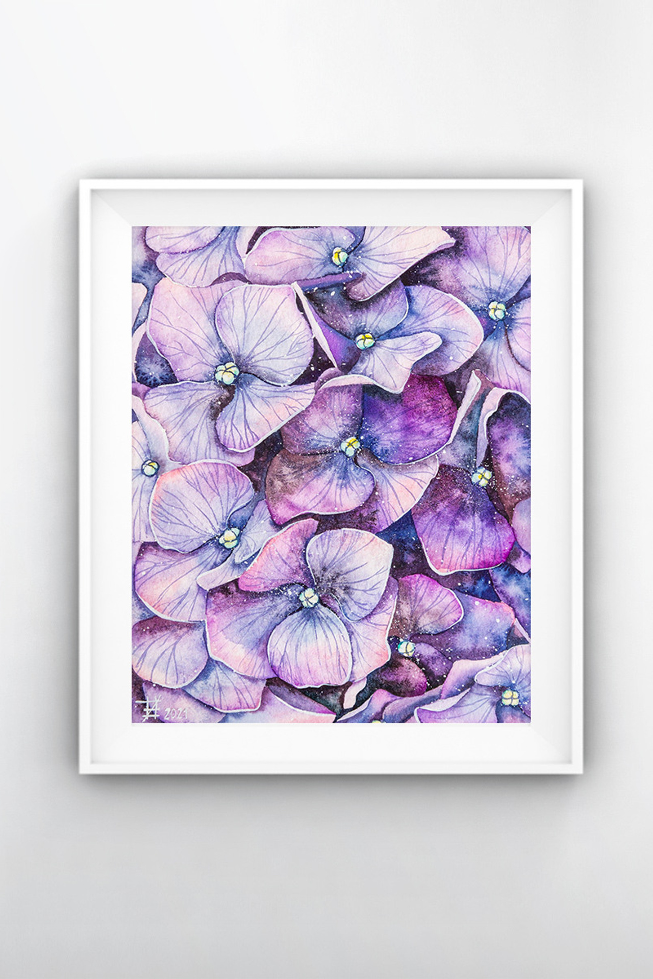 Сиреневая гортензия