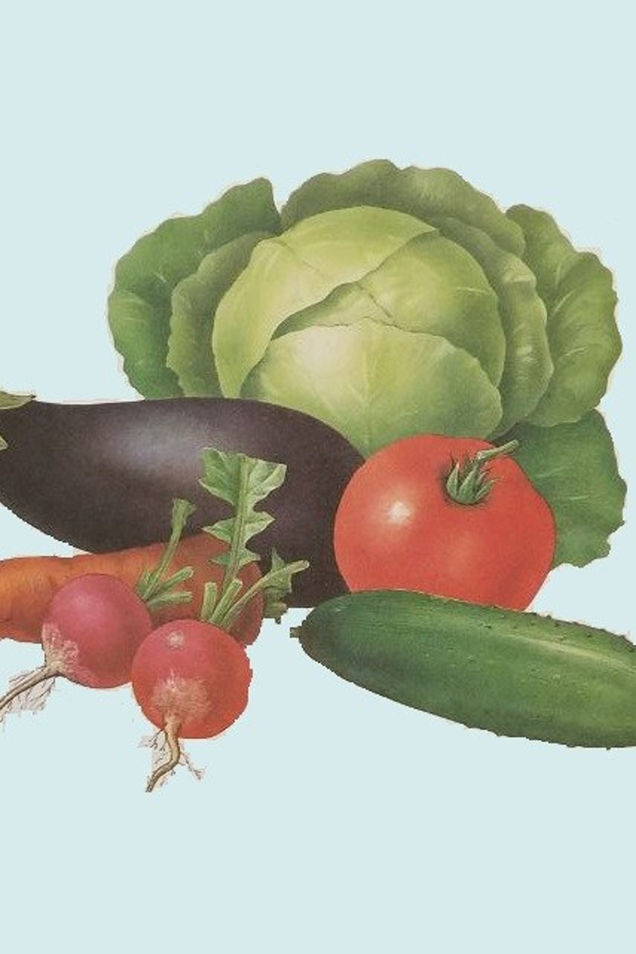 2 класс. Matryoshka64