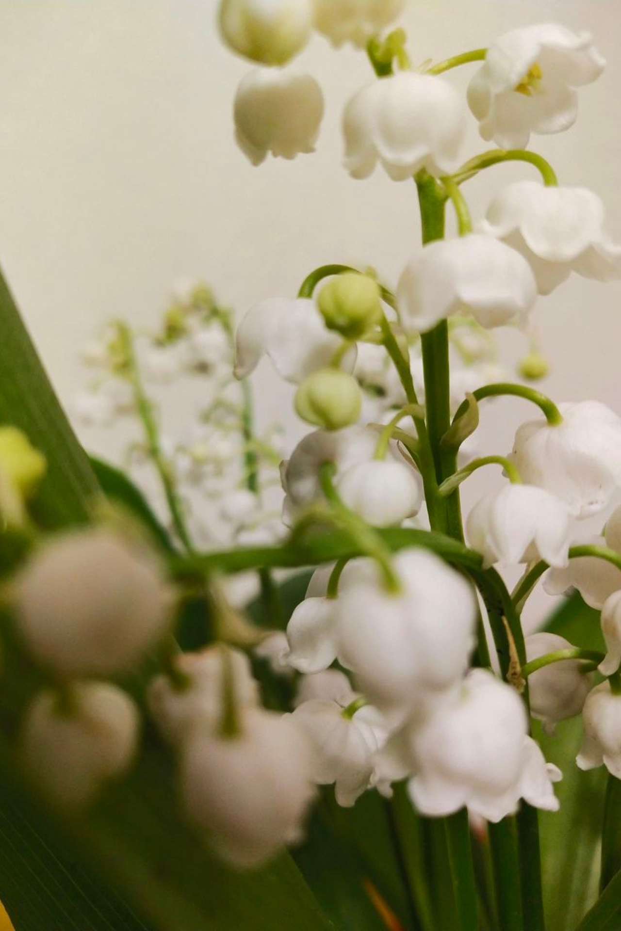 П. Чайковский. Matryoshka64