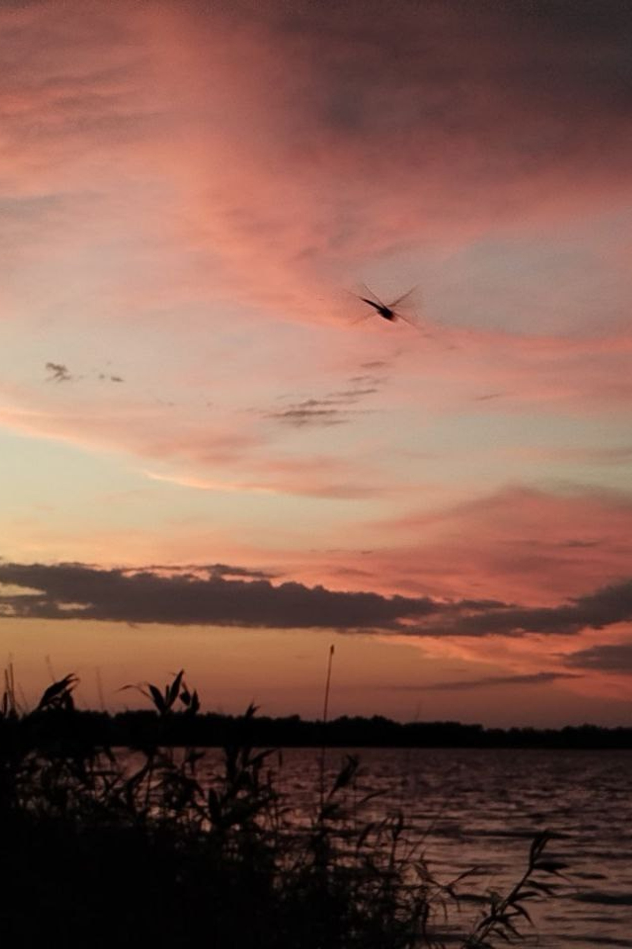 Обучение в стихотворении. Matryoshka64