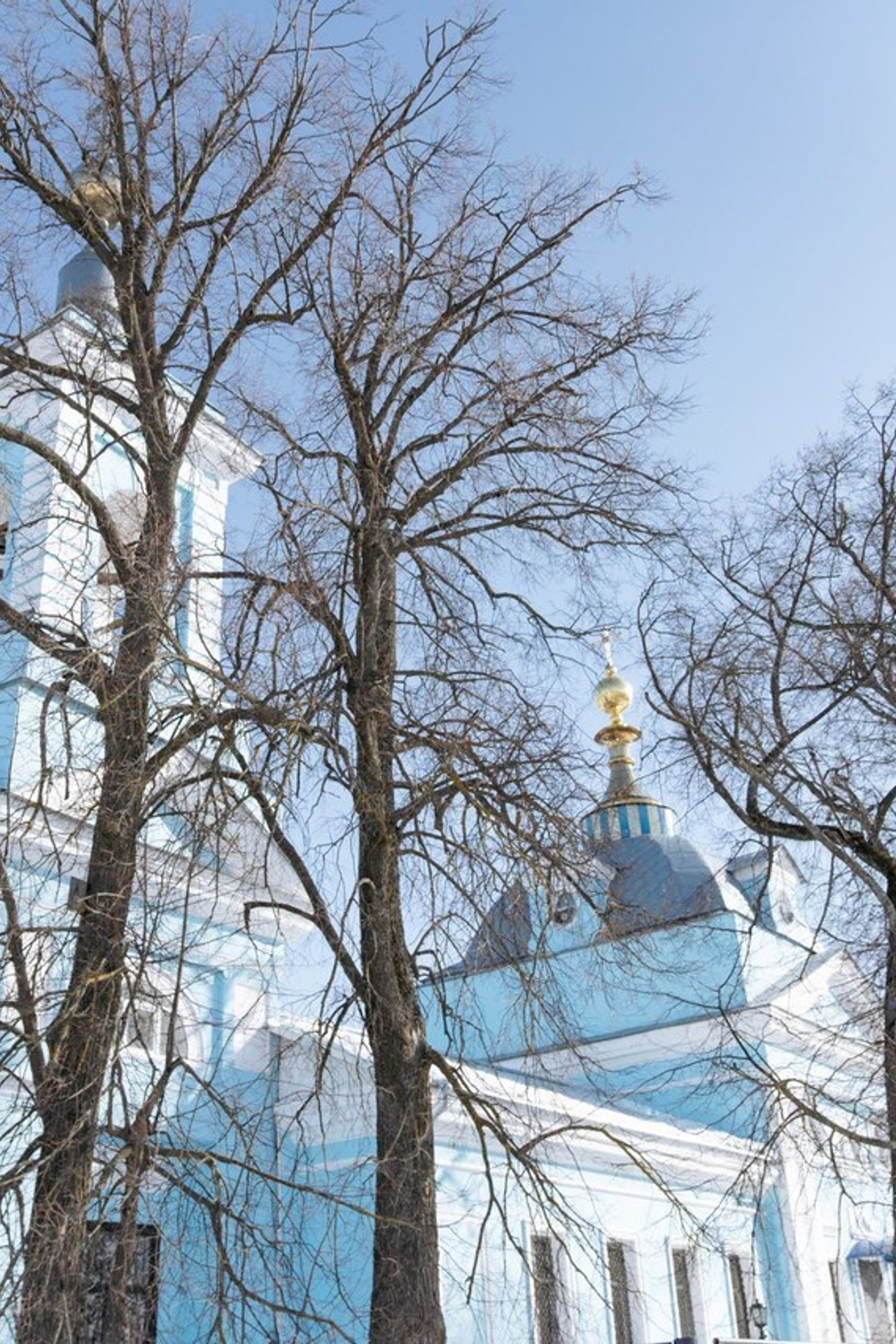 Отзывы. Оля Киселева фотограф в Выксе