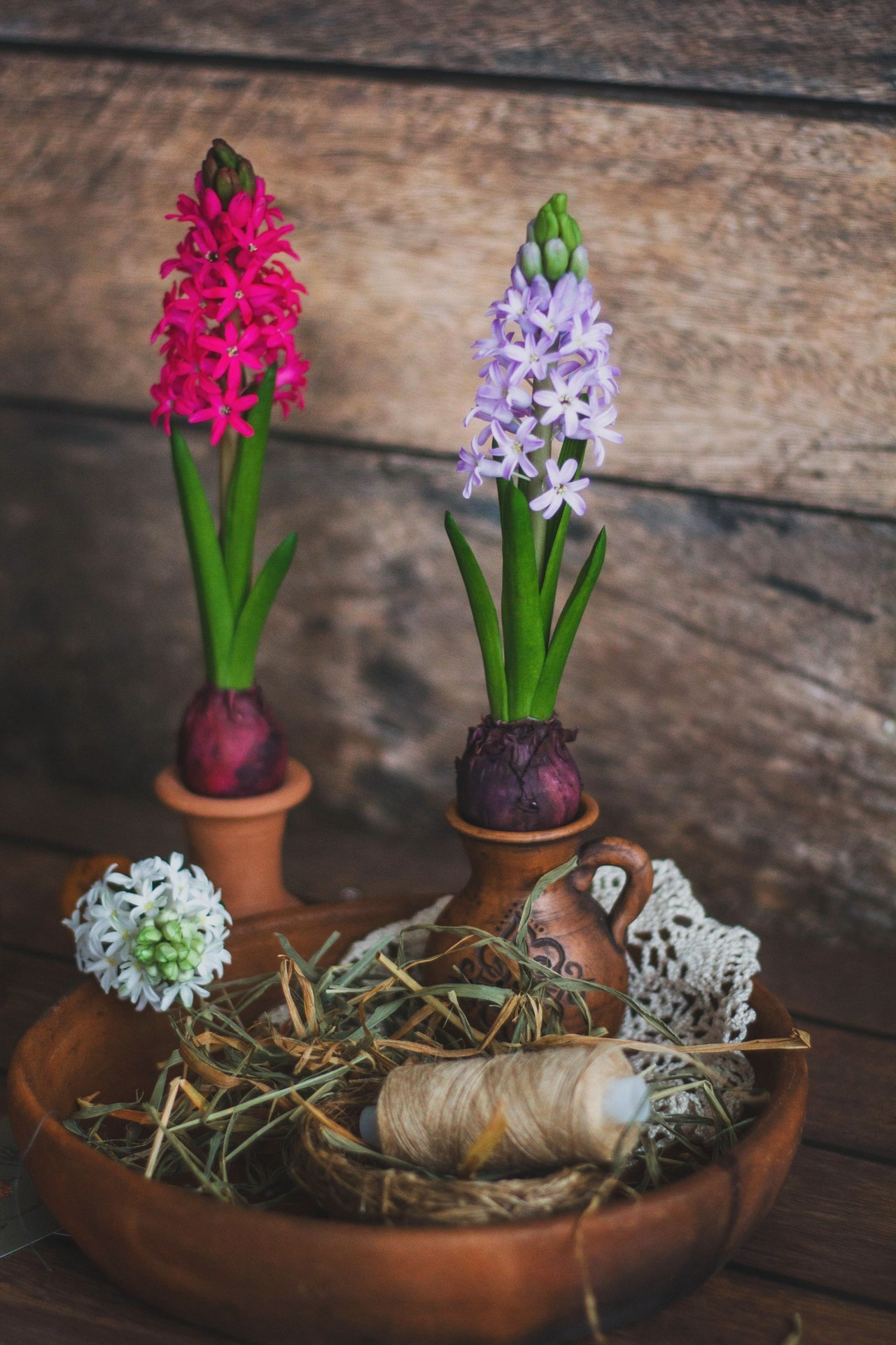 Отзывы. Детский и семейный фотограф в Москве