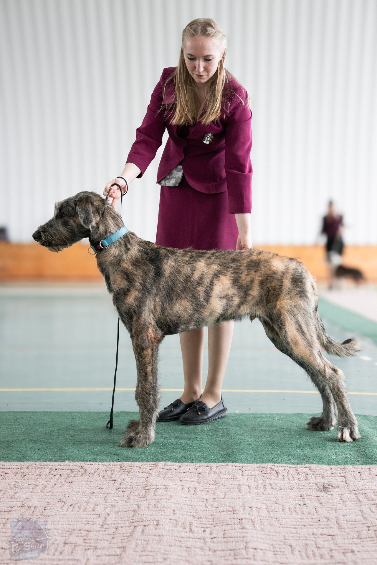 Отзывы. Фотограф Марк Файзулин