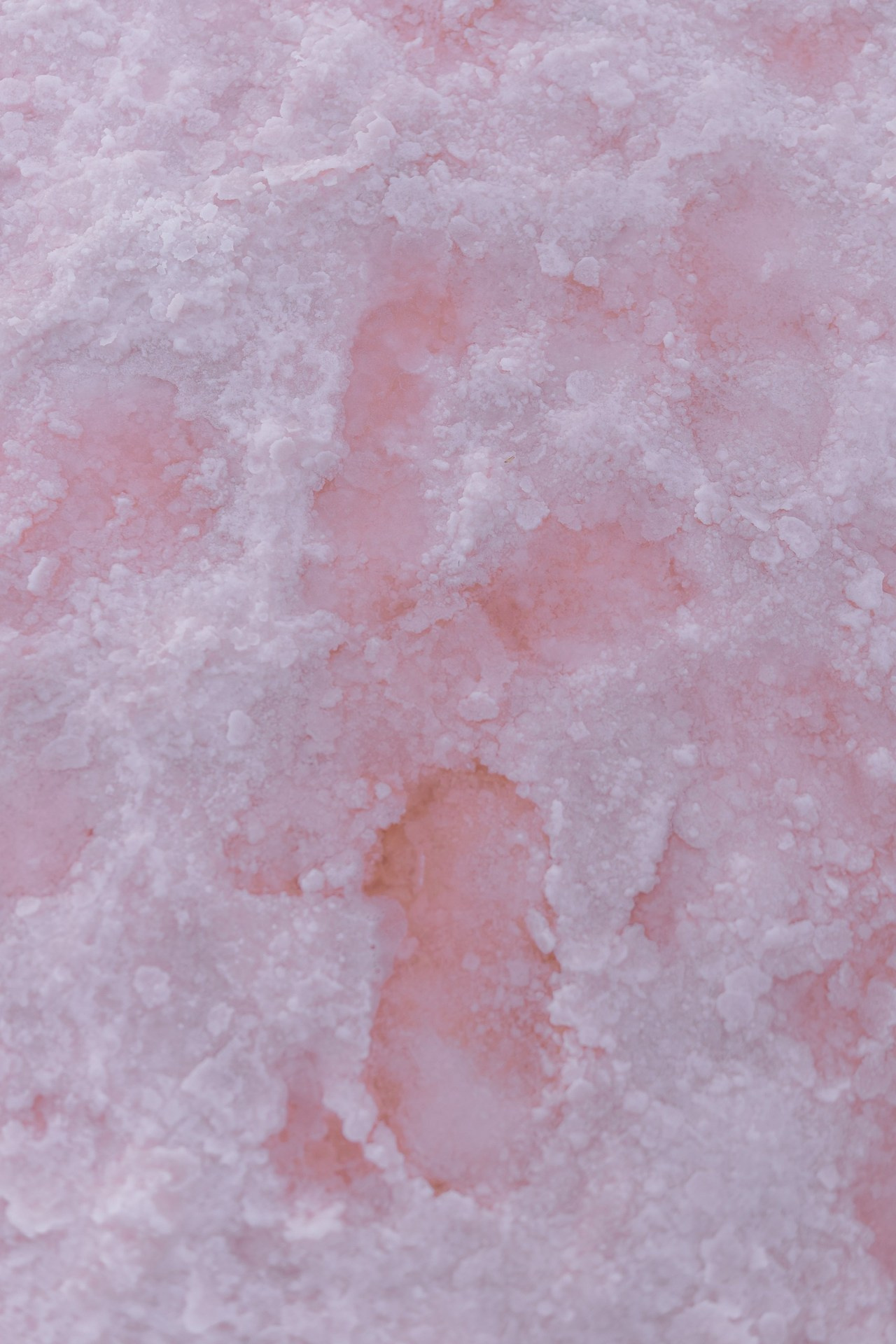 Отзывы. Семейный и детский фотограф в Крыму Екатерина Швец