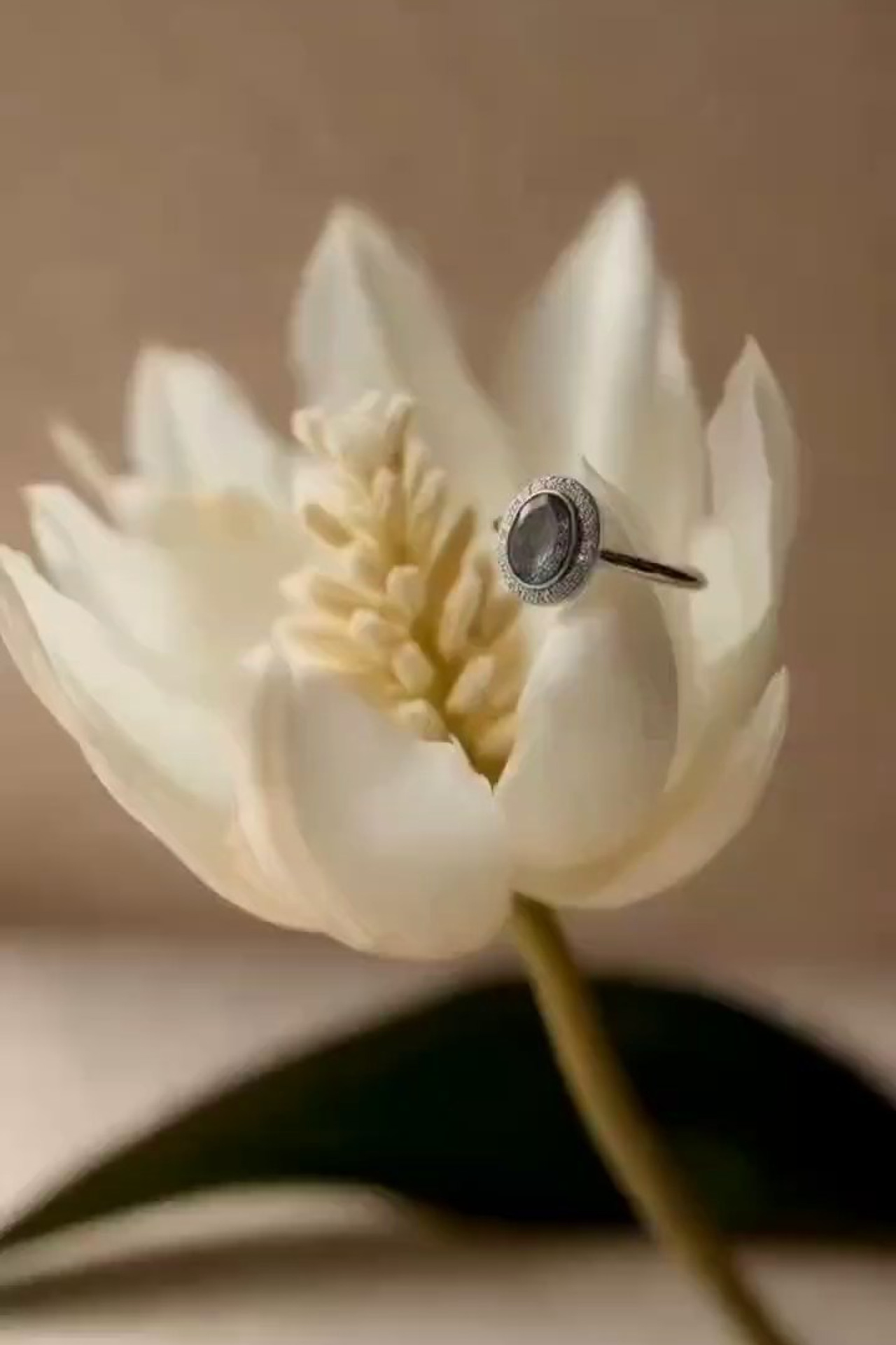 Видео-продакшн. Регина Зебра — предметный фотограф Москва Подольск | Съёмка для маркетплейсов и соцсетей