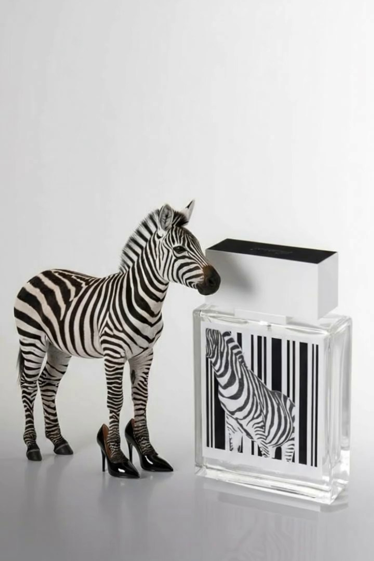 Видео-продакшн. Регина Зебра — предметный фотограф Москва Подольск | Съёмка для маркетплейсов и соцсетей