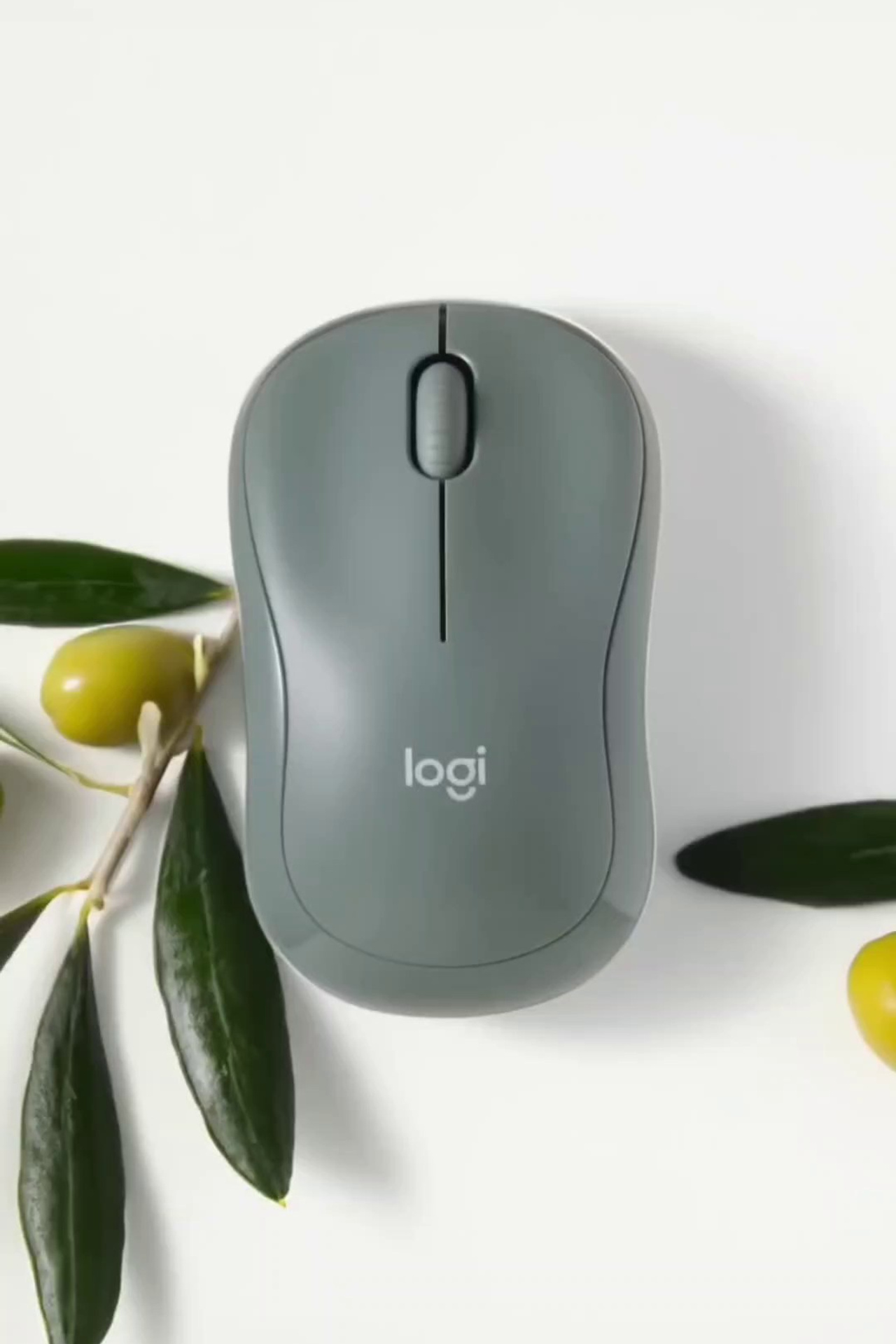 Видео-продакшн. Регина Зебра — предметный фотограф Москва Подольск | Съёмка для маркетплейсов и соцсетей