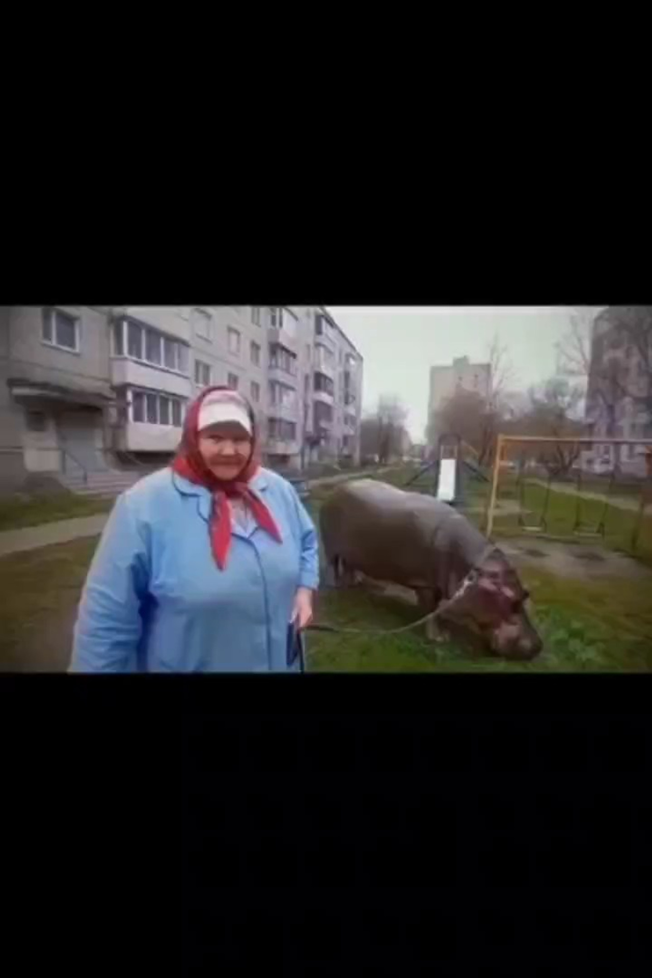 Видео-продакшн. Регина Зебра — AI-дизайнер и креатор | Авторский контент для брендов и персон