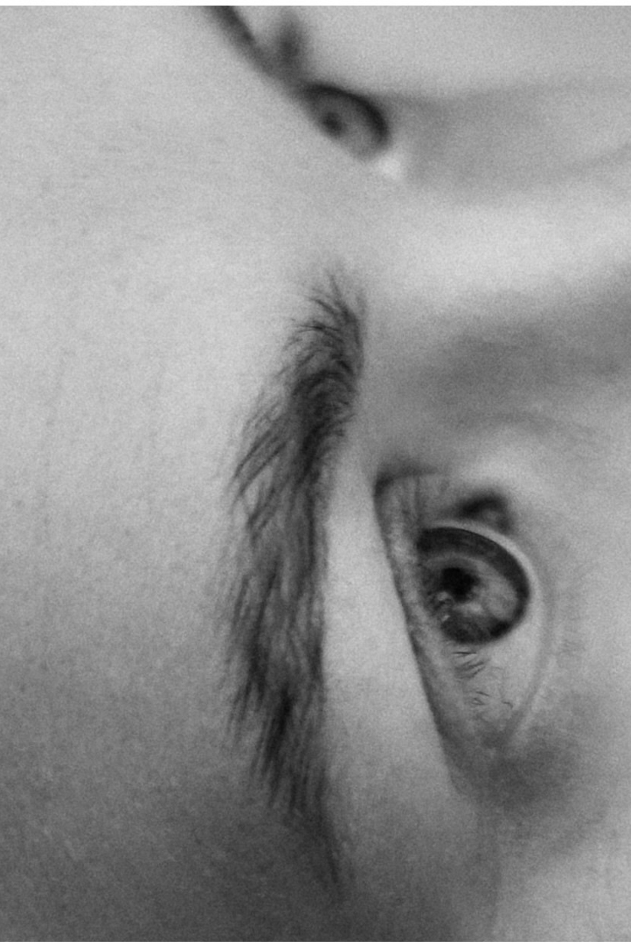 Anna Shardakova Photography