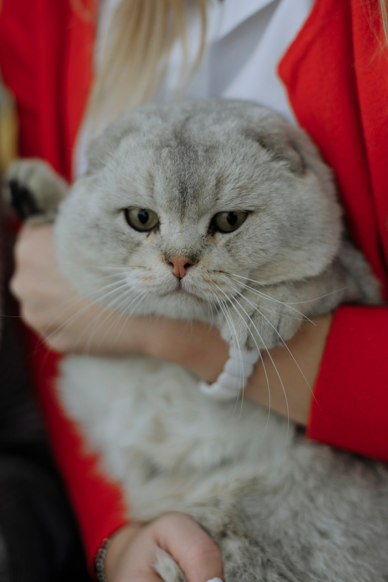 Отзывы. Фотограф Яна Левин