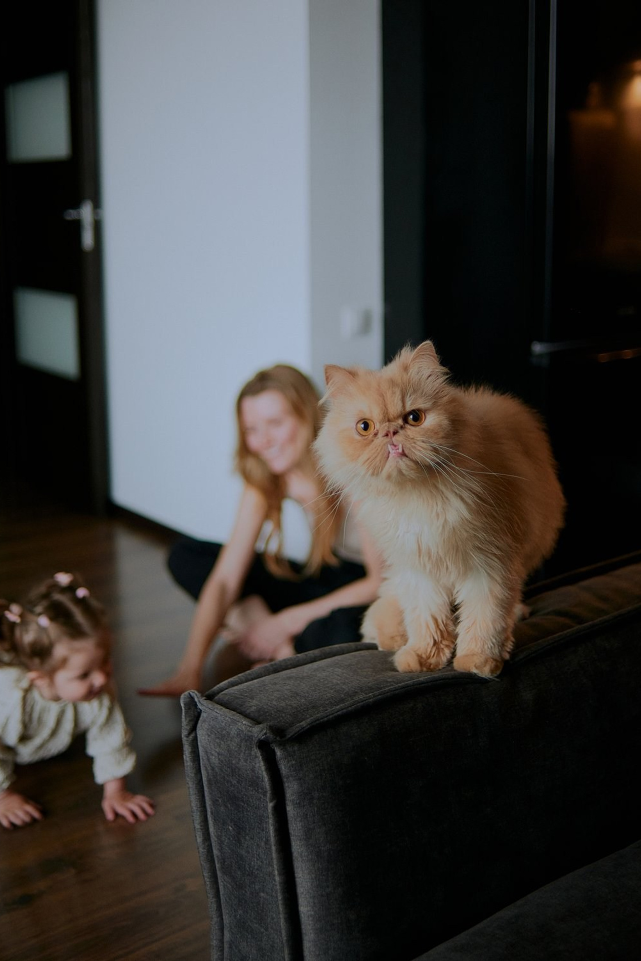 Домашняя серия: Дарья и&nbsp;Кира