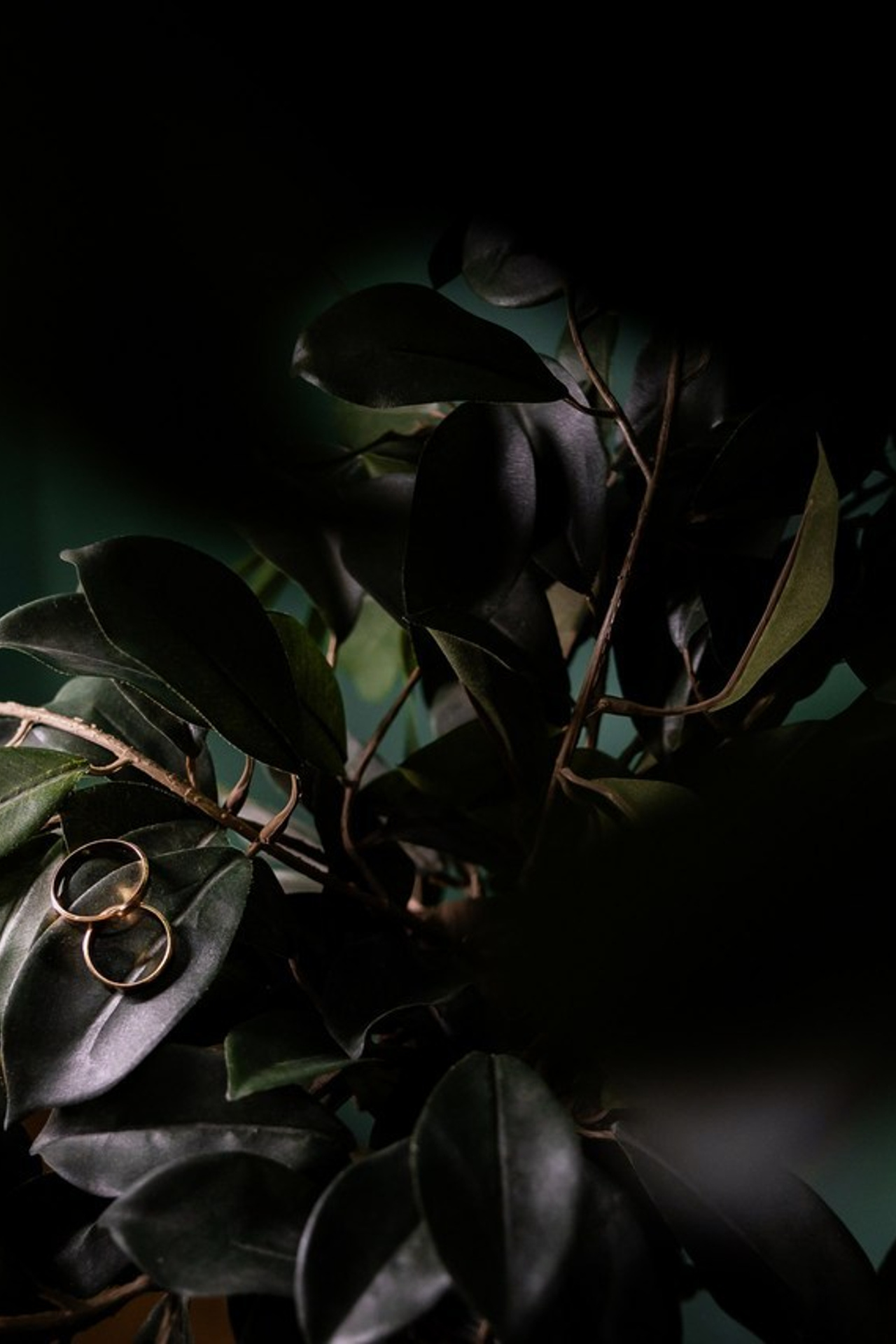 Отзывы. Свадебный фотограф Верещак Сергей I Ростов-на-Дону