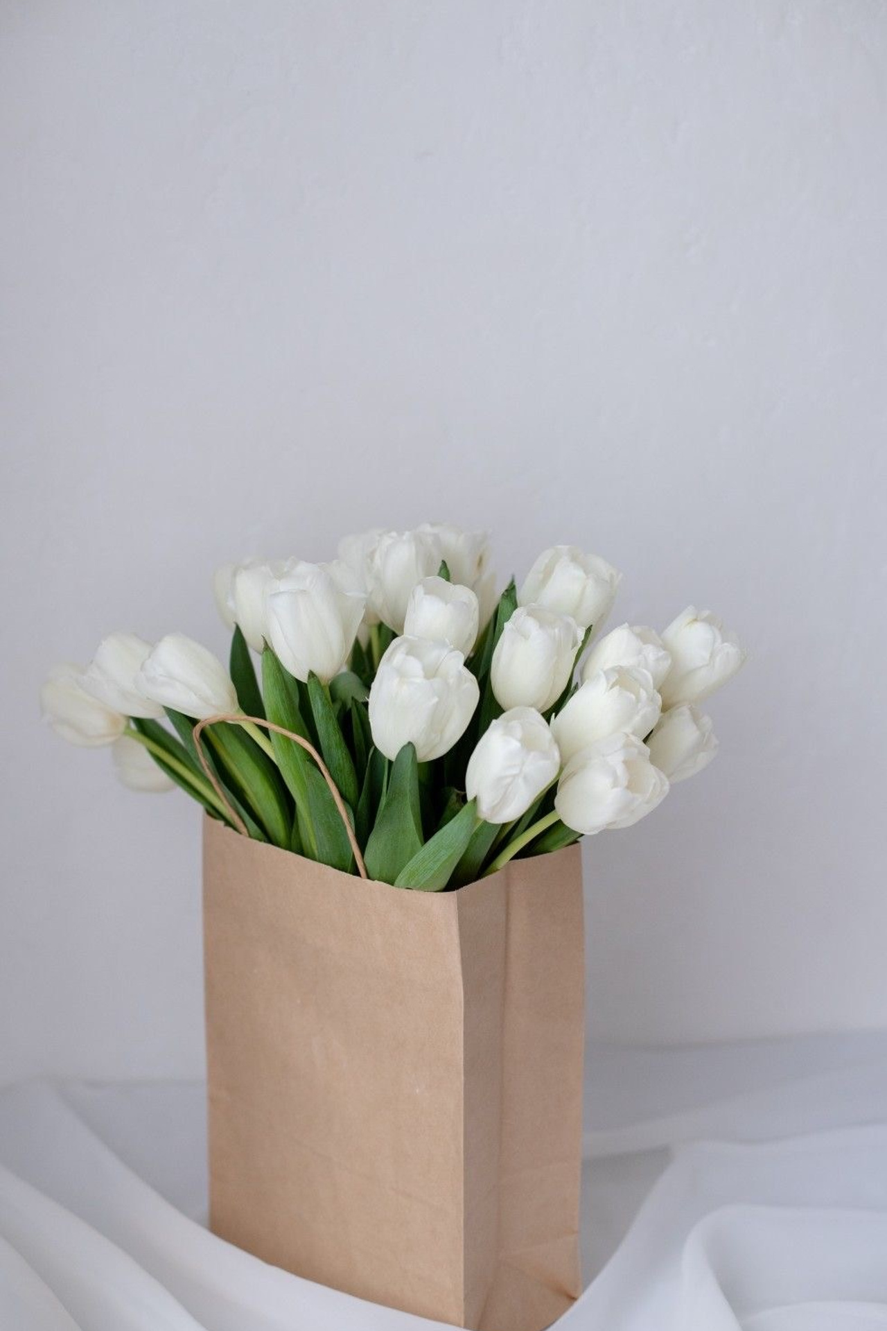 Отзывы. Женский и семейный фотограф Марина Яковлева, г. Москва