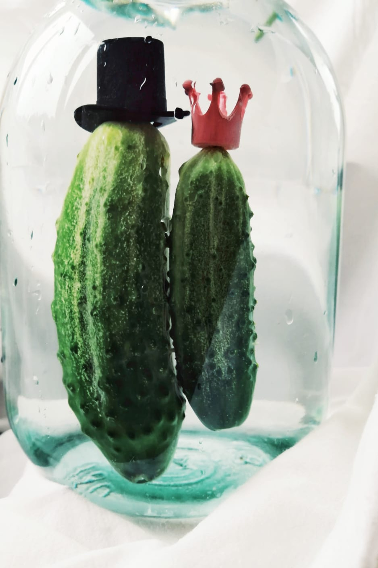 Огурцы. Екатерина Макарова Фотограф Москва