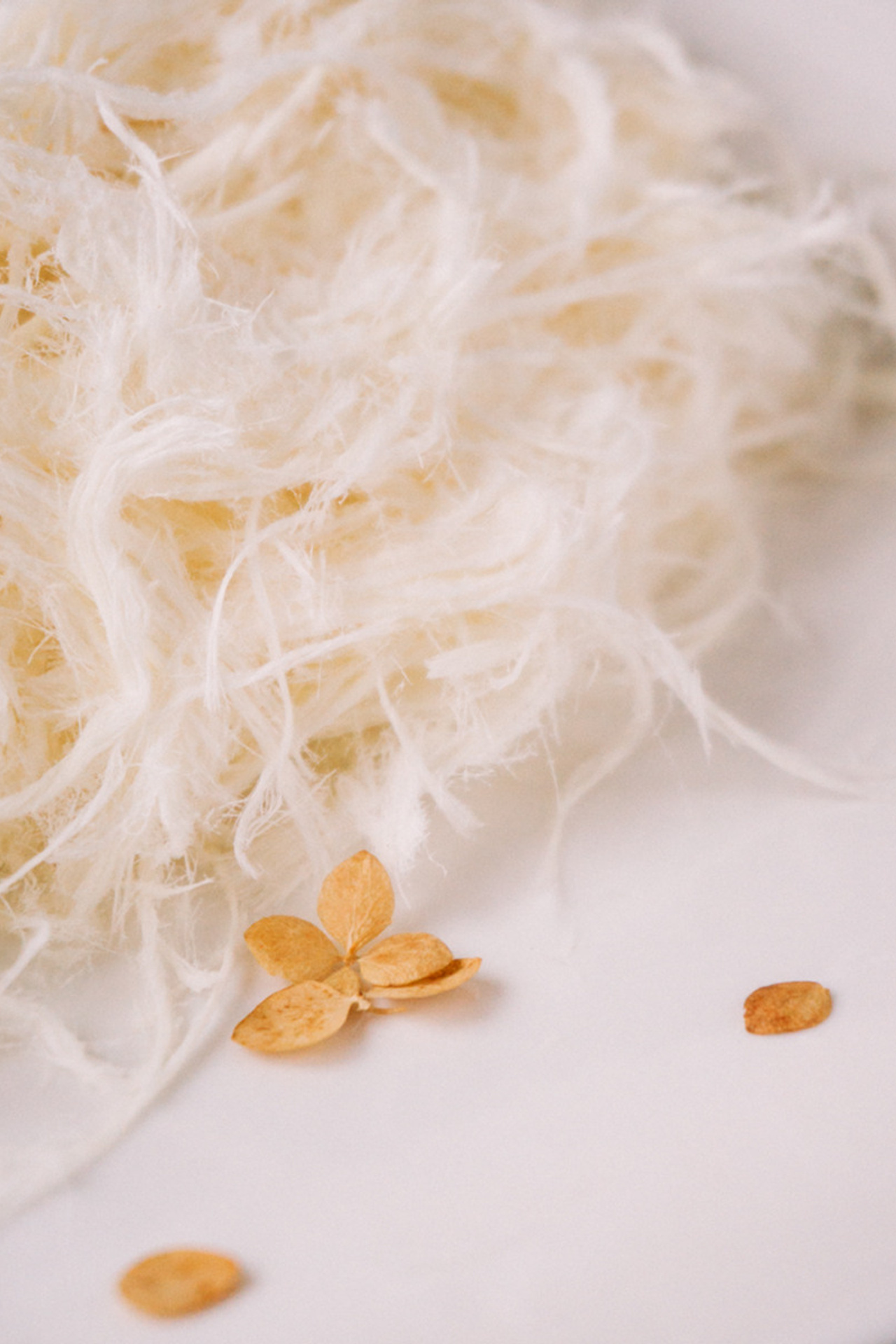 Лукум. Екатерина Макарова Фотограф Москва