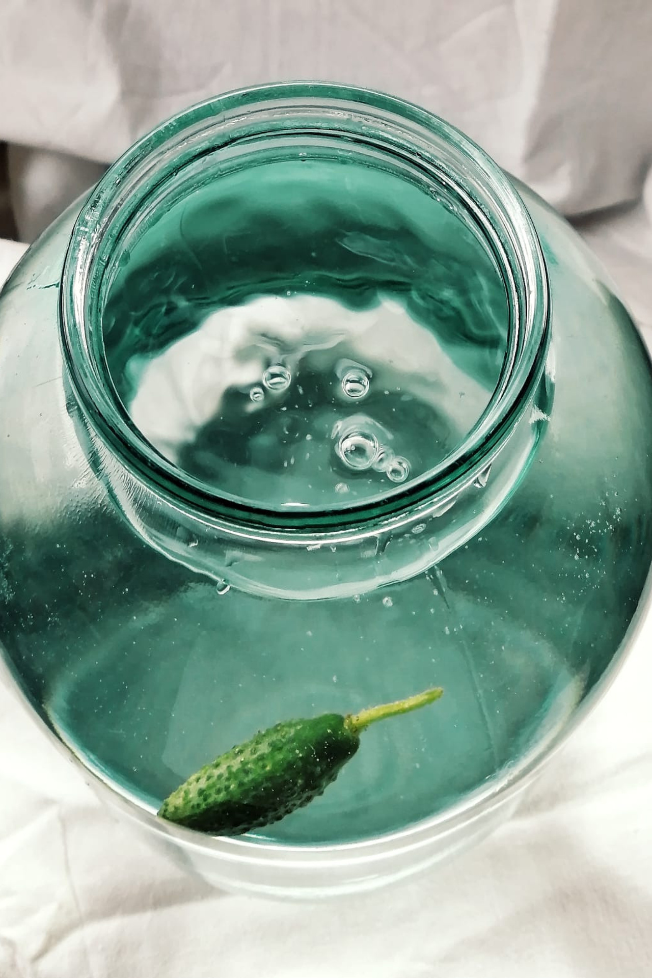 Огурцы. Екатерина Макарова Фотограф Москва