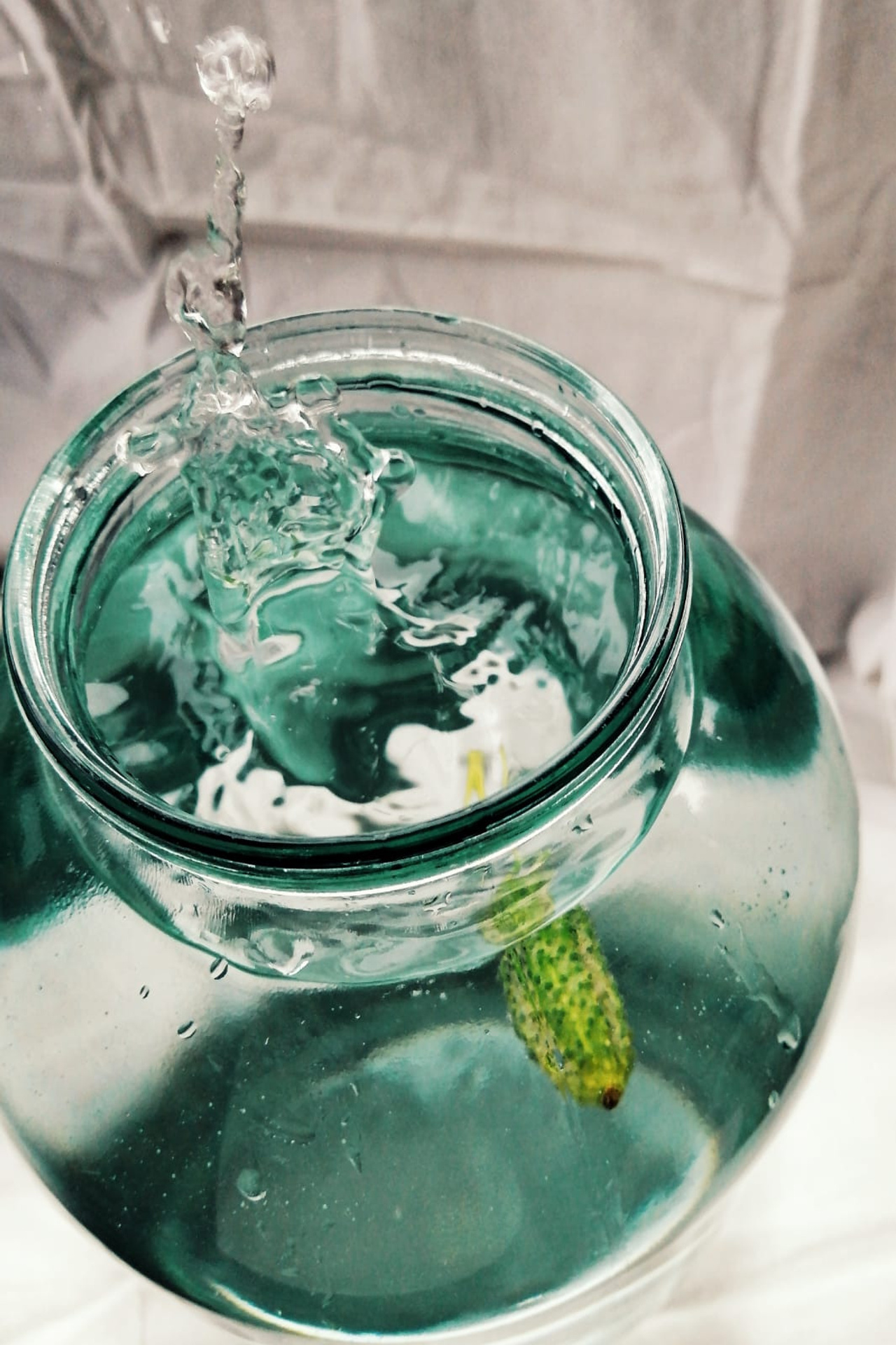 Огурцы. Екатерина Макарова Фотограф Москва