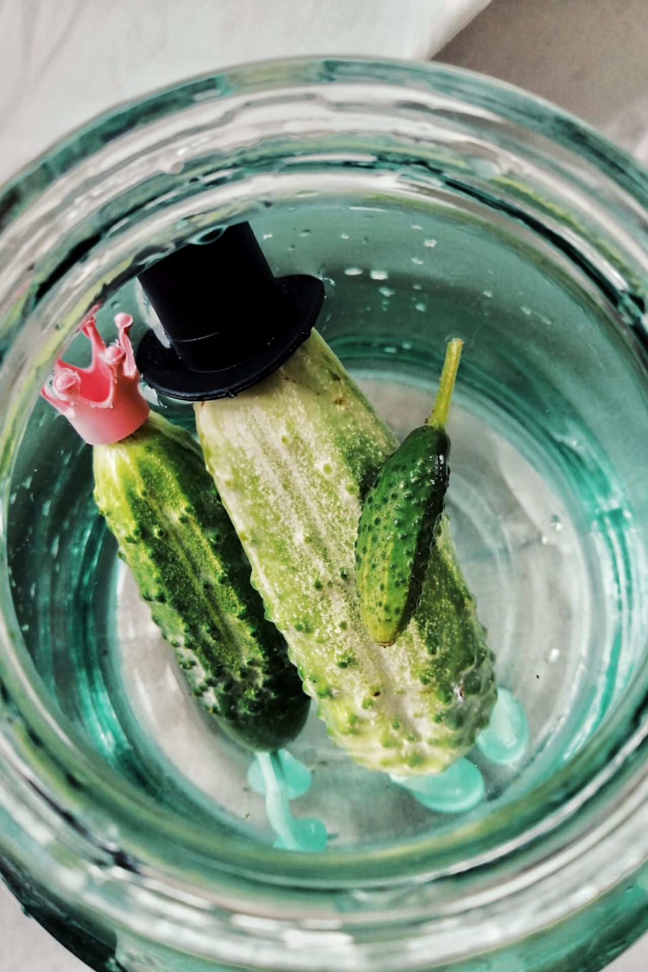 Огурцы. Екатерина Макарова Фотограф Москва