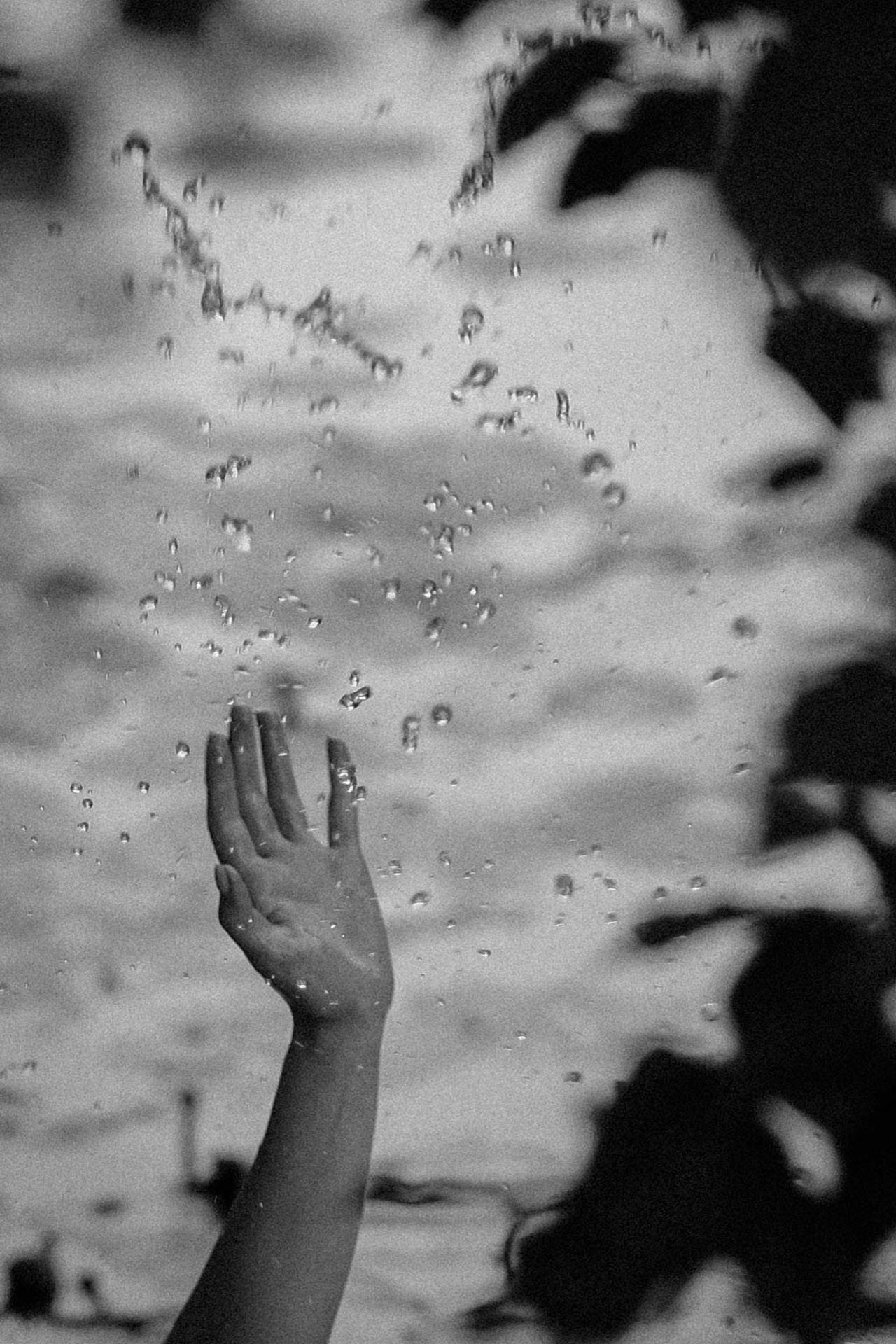 Истории. Семейный и детский фотограф Троицк Москва