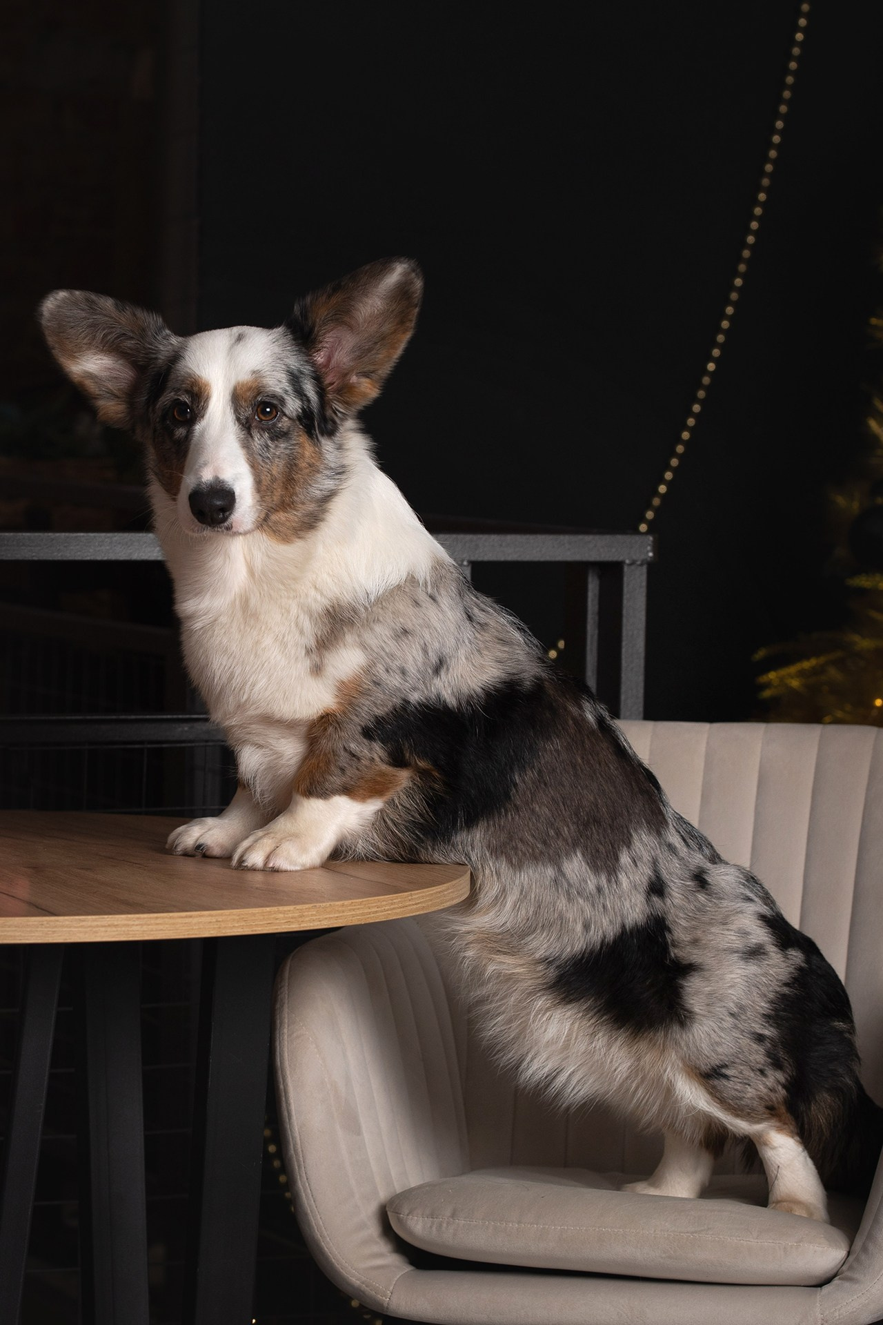 ФОТОСТУДИЯ