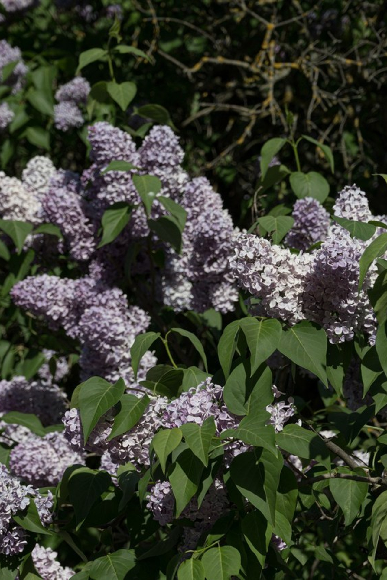 Отзывы. Светлана Бычкова. Контент и бизнес-фотограф в Москве и Петербурге