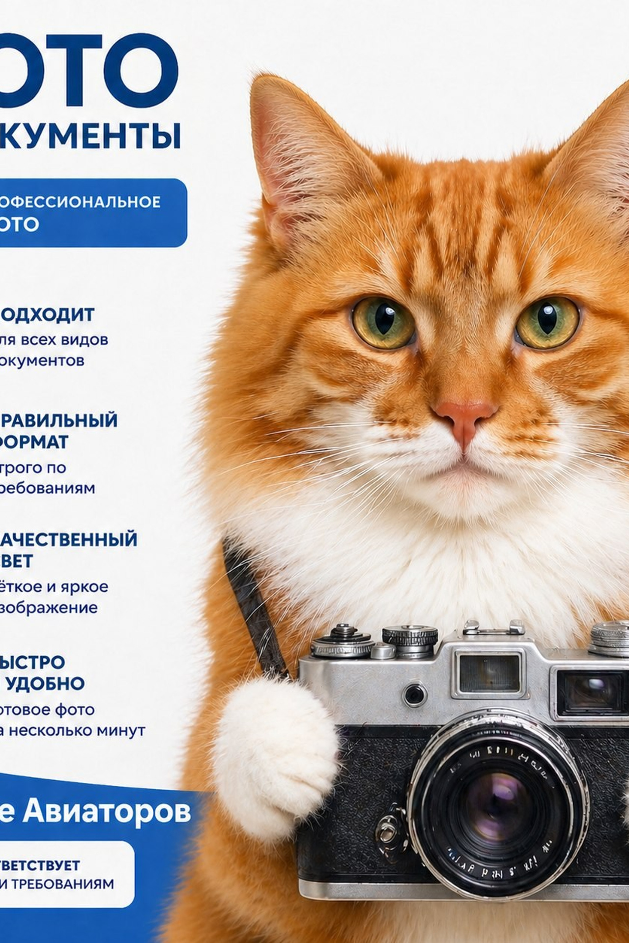 Новости, важная информация