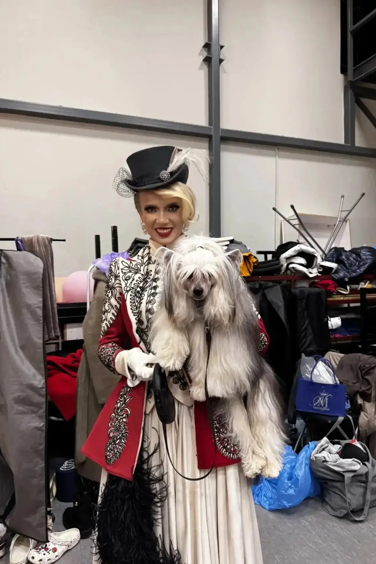 Блог питомника Poale Ell. Питомник китайских хохлатых собак Poale Ell: купить щенка в питомнике